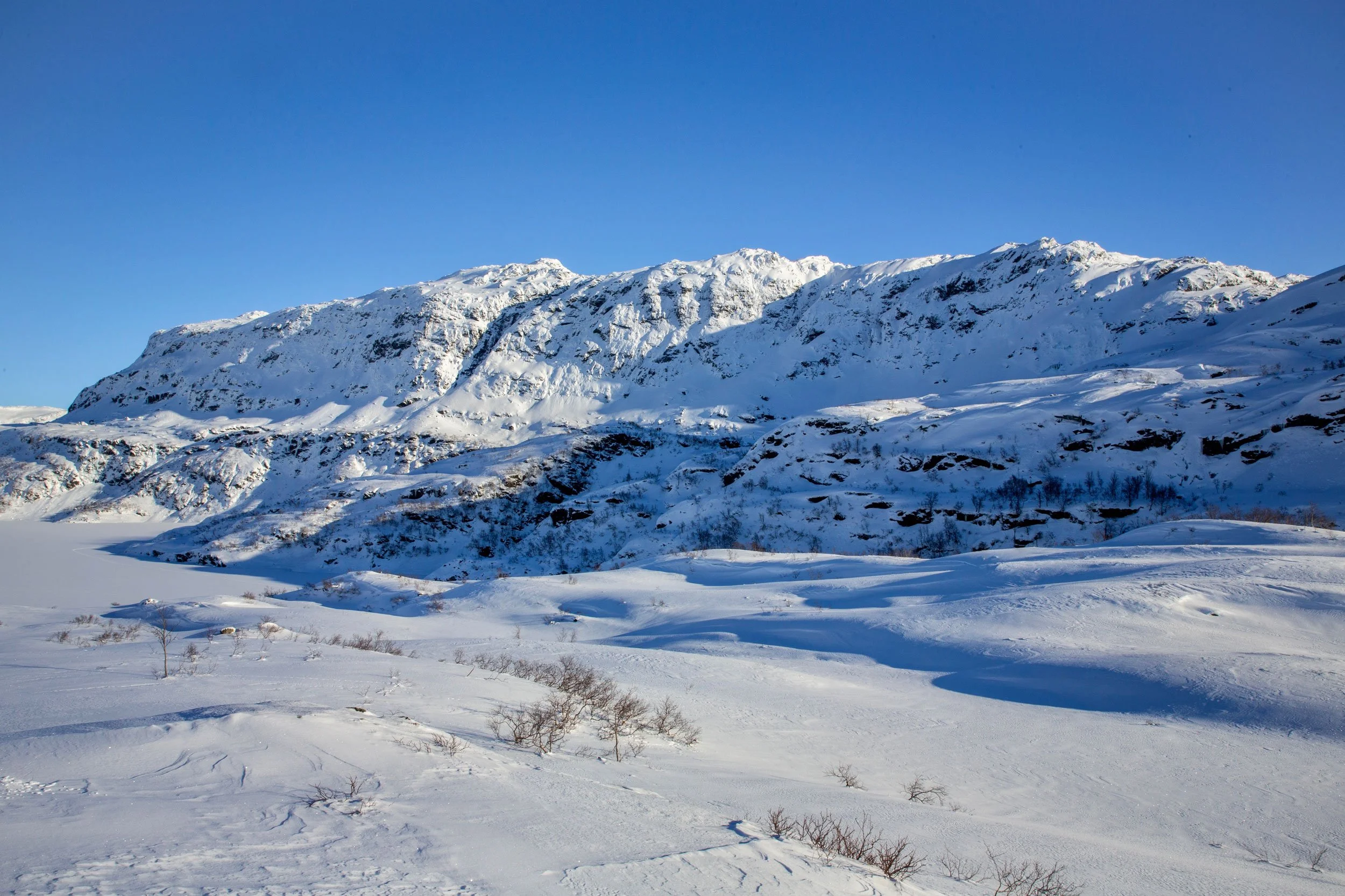 Fuglafjell.
