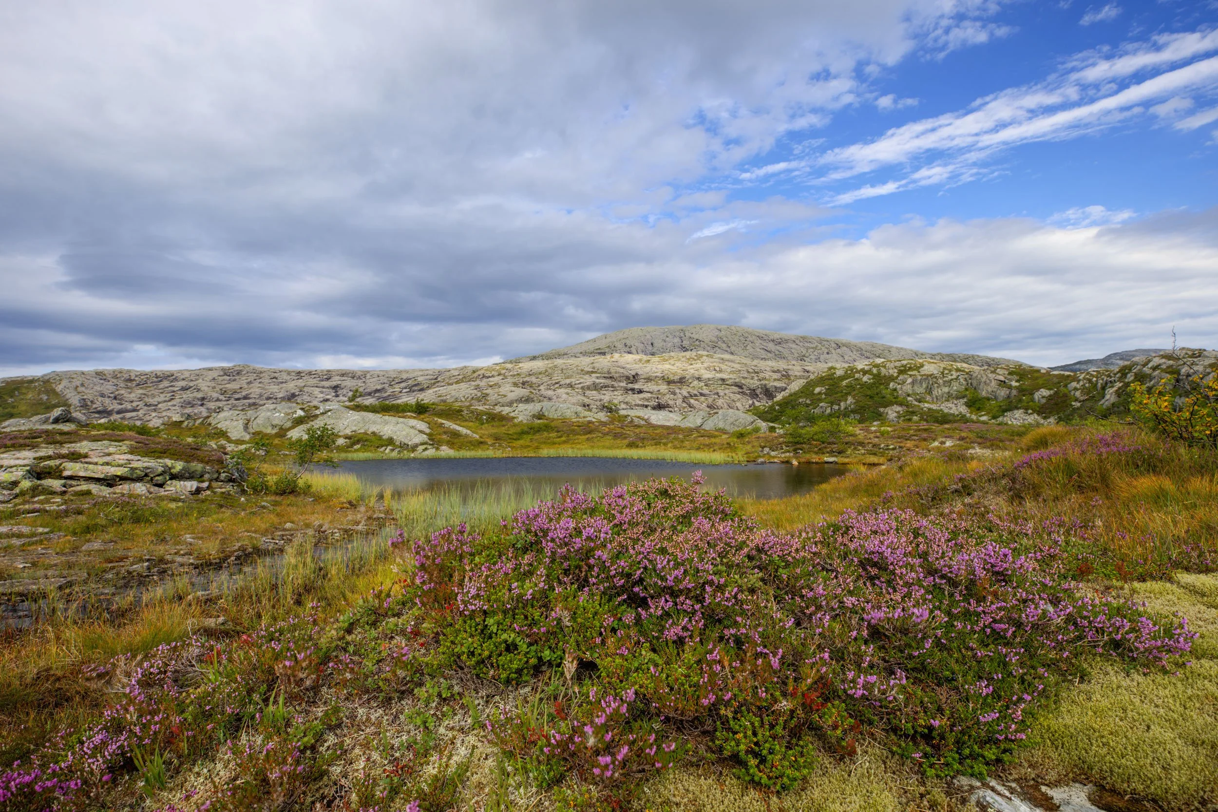 2N6A682_202308_MedResjpg.jpg