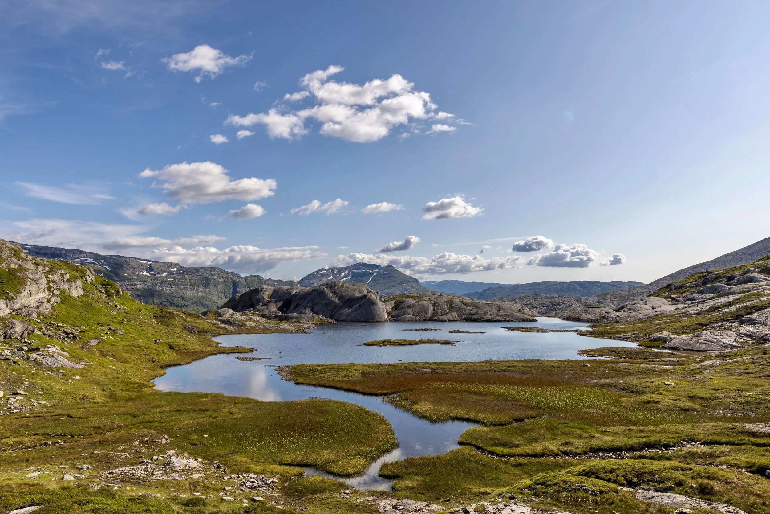 Flatafjellstjødne.