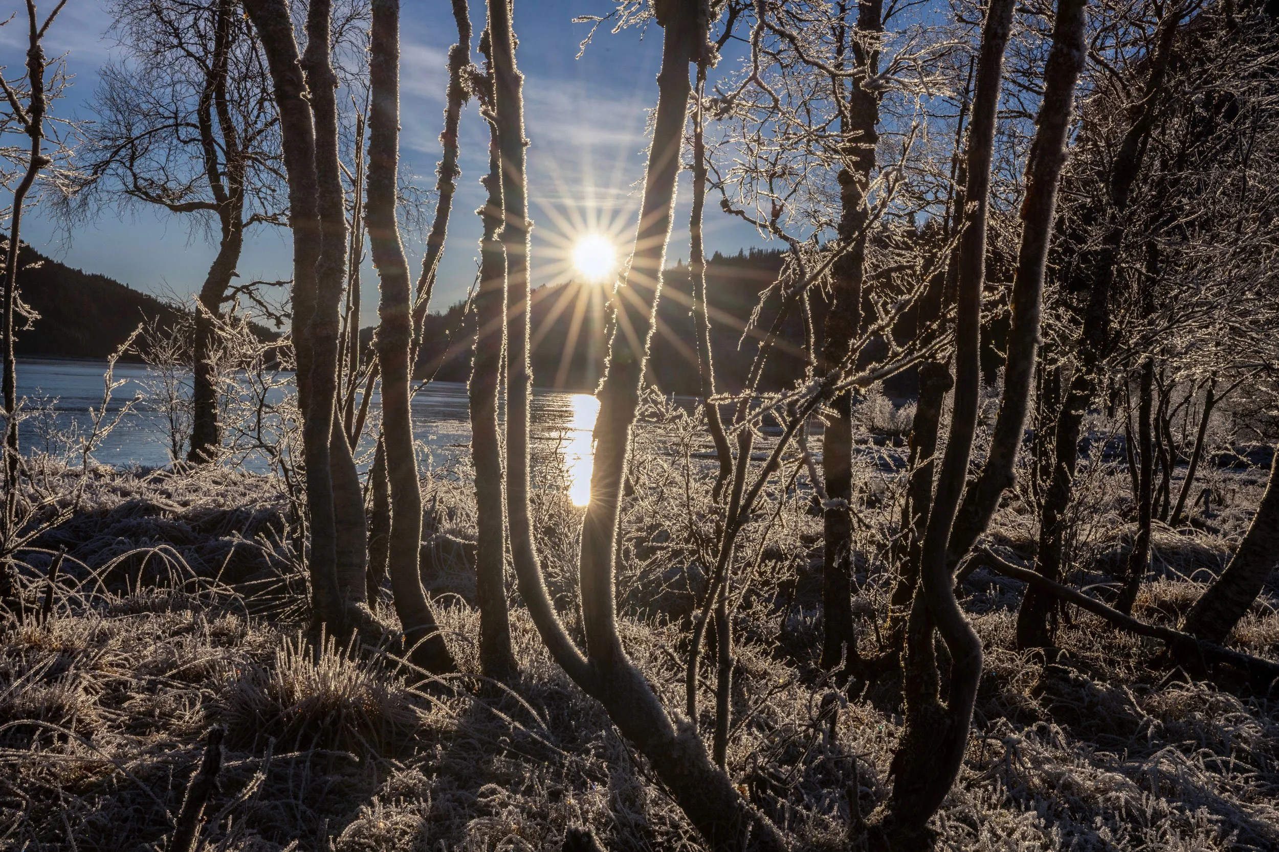 Rimfrost, Fete , Fitjadalen.