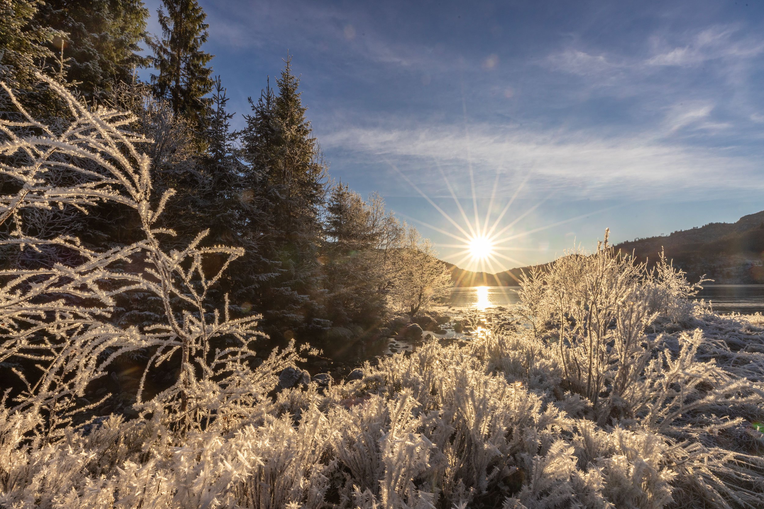 Rimfrost , Blekelv , Fitjadalen.