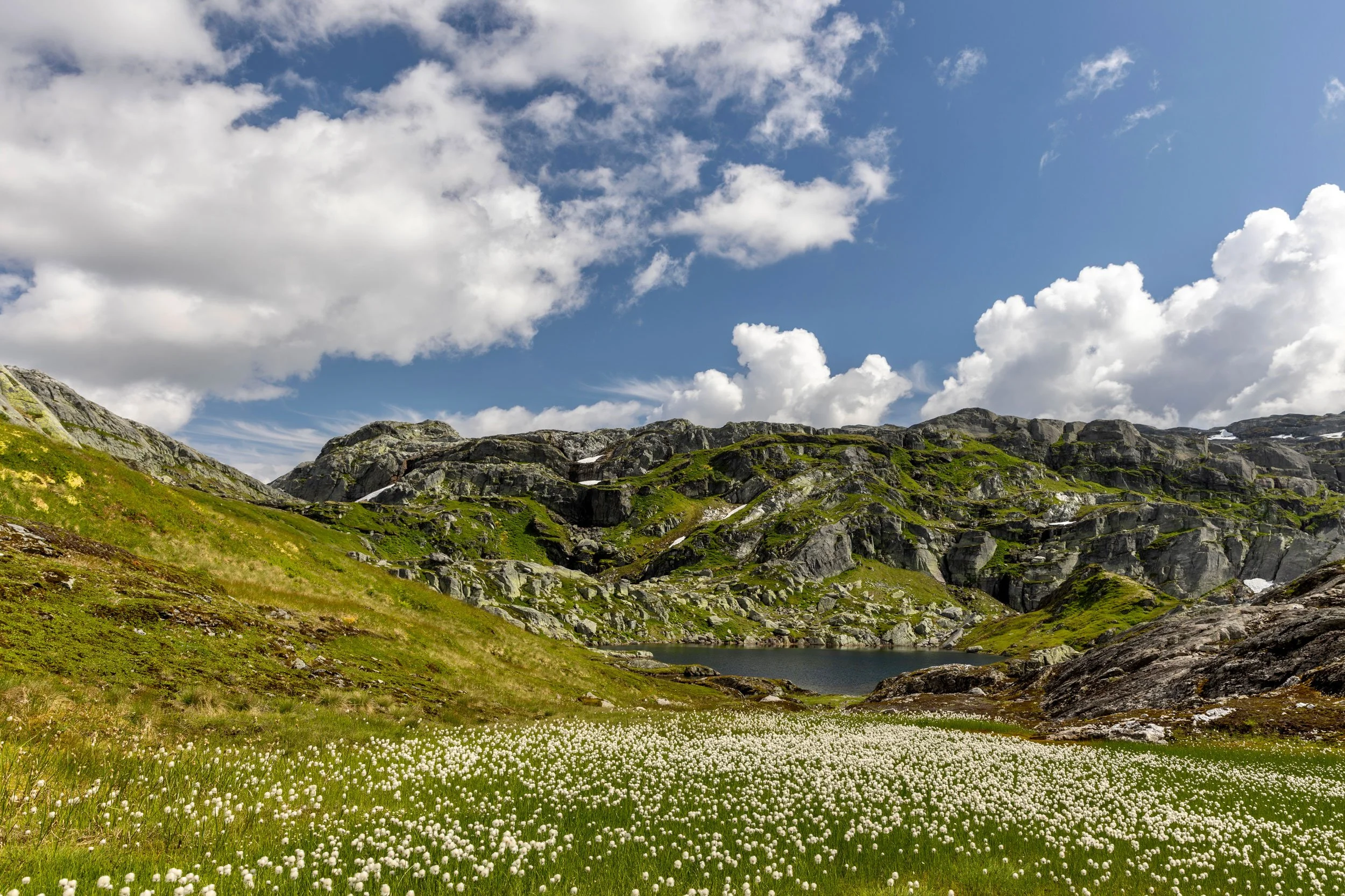 Fuglafjell.