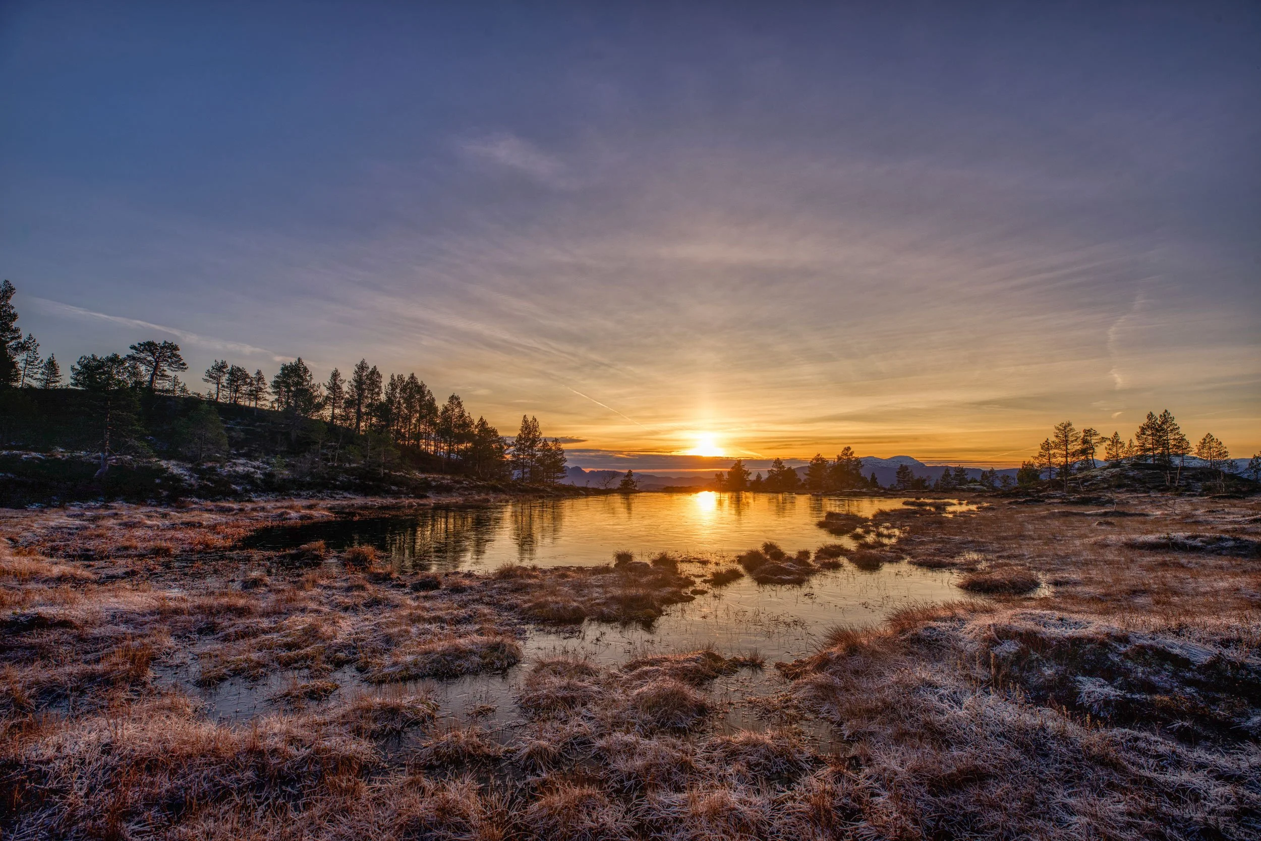 Bjørkemarkje,på vei til Bjørkeveten.