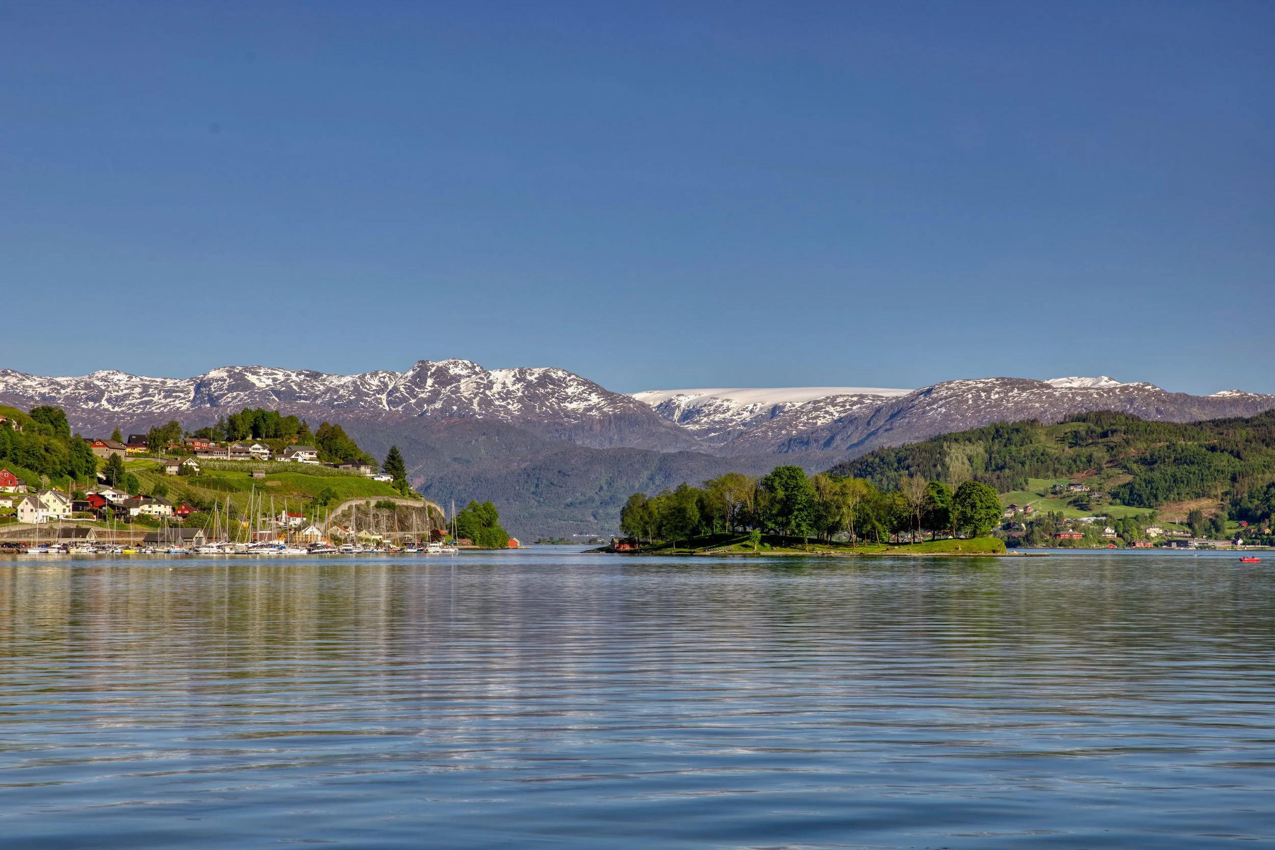 Frå Norheimsund ,Sandvenholmen,Folgefonna. Mai 2026.