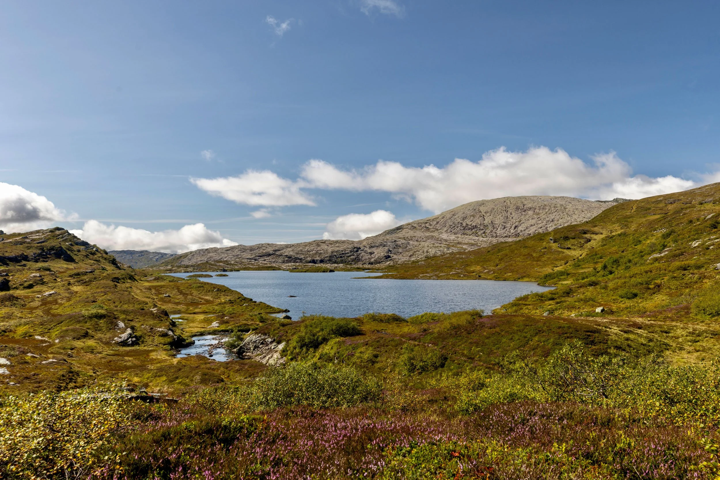 Søyevatn, med Gråhorgje  bak.