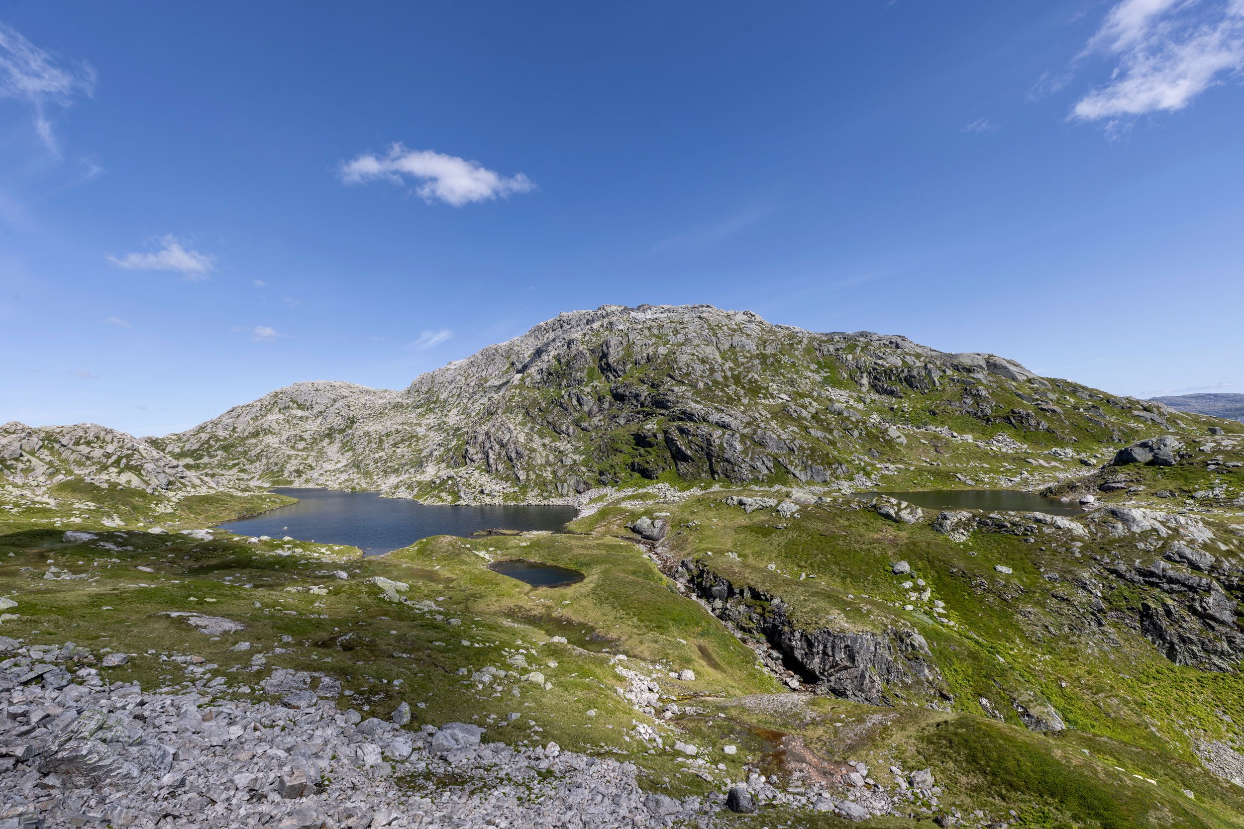 Moagjel med Kjerringafjell bak.