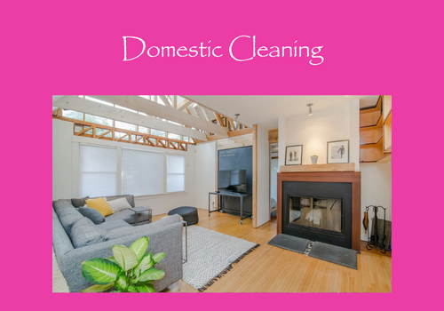 Domestic Cleaning