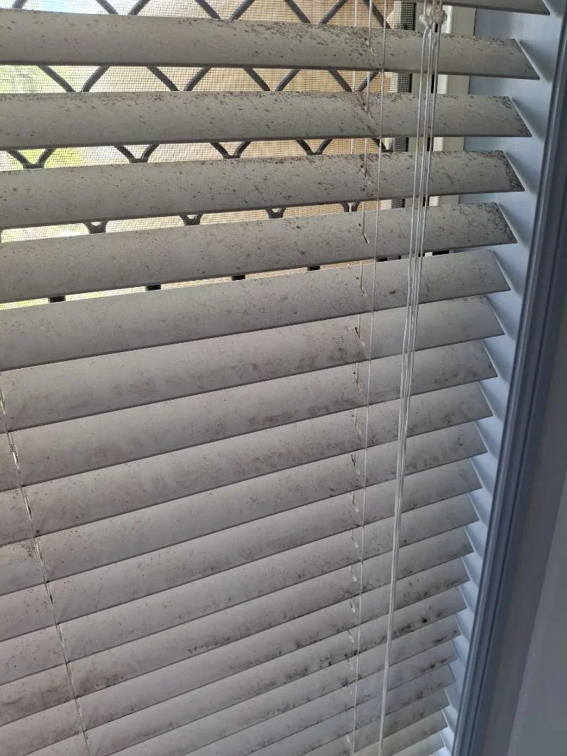A "before" photo, showing a set of venetian blinds with visible dirt and dust on them.