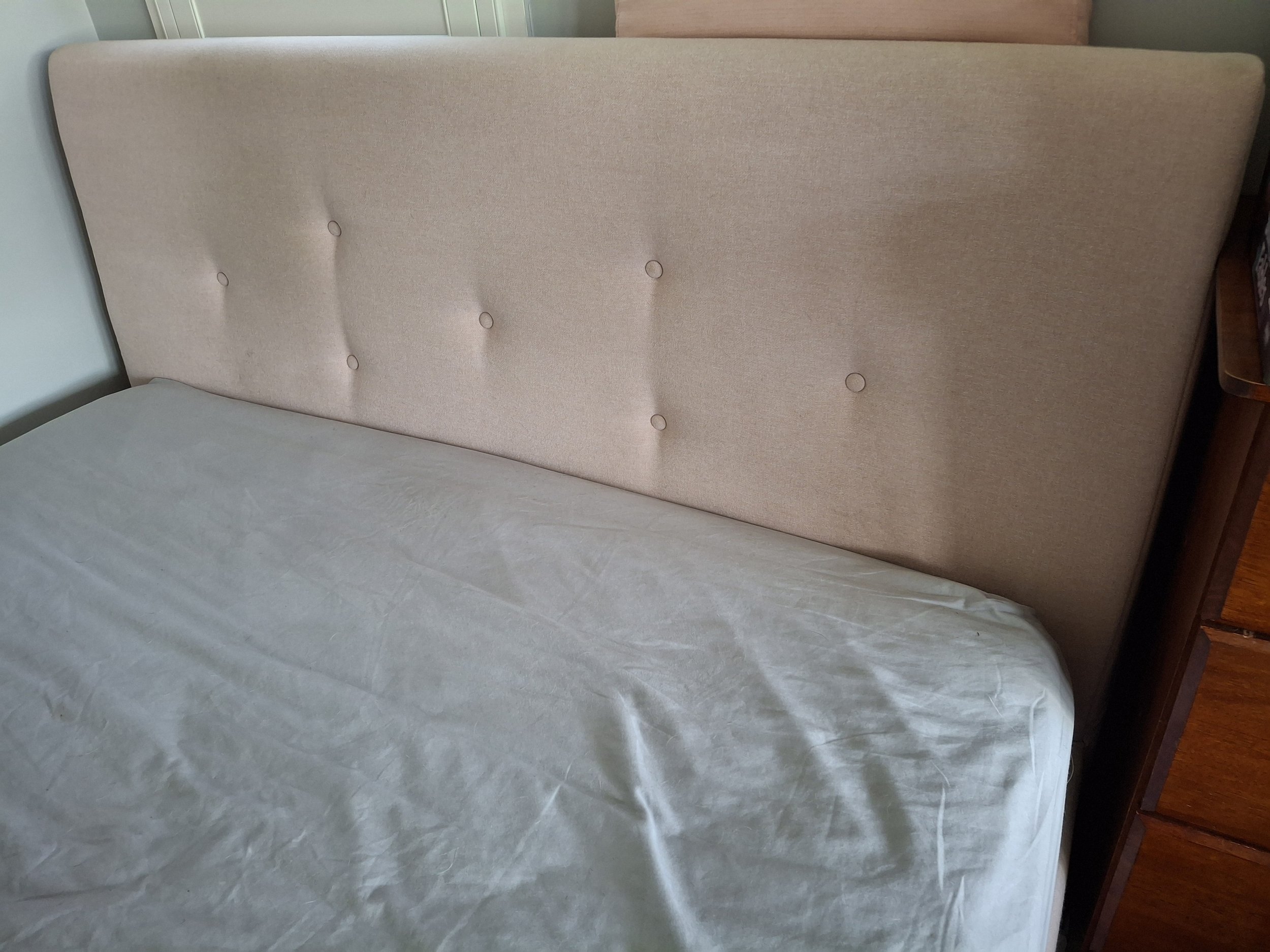 An "after" photo, showing a freshly cleaned upholstered headboard