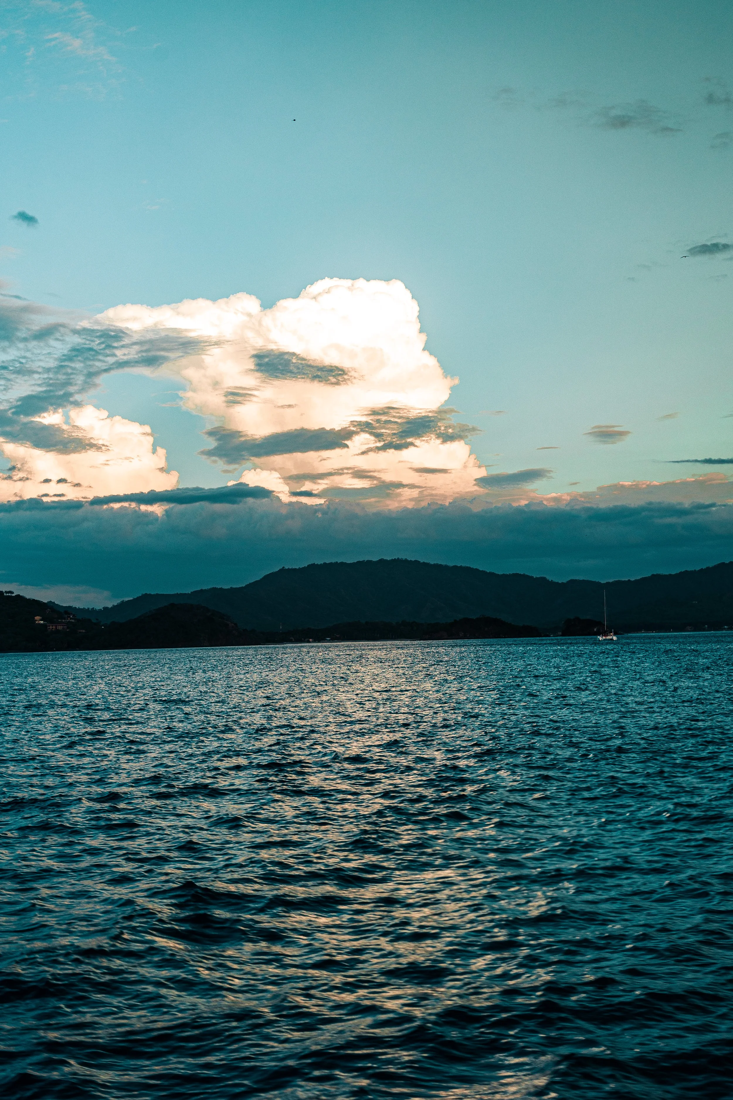 Website - LANDSCAPES-1-8.jpg