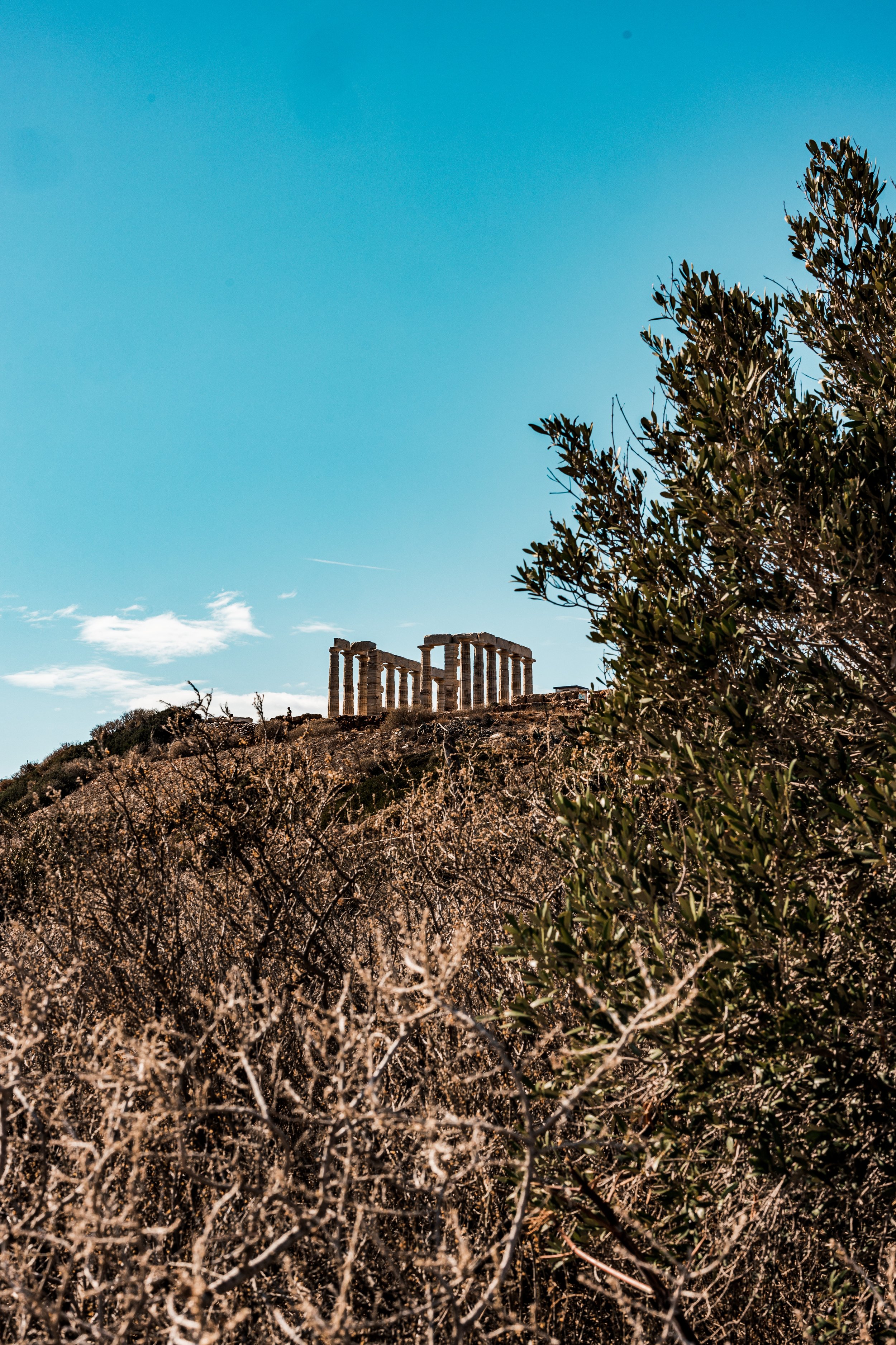 Website - LANDSCAPES-9.jpg