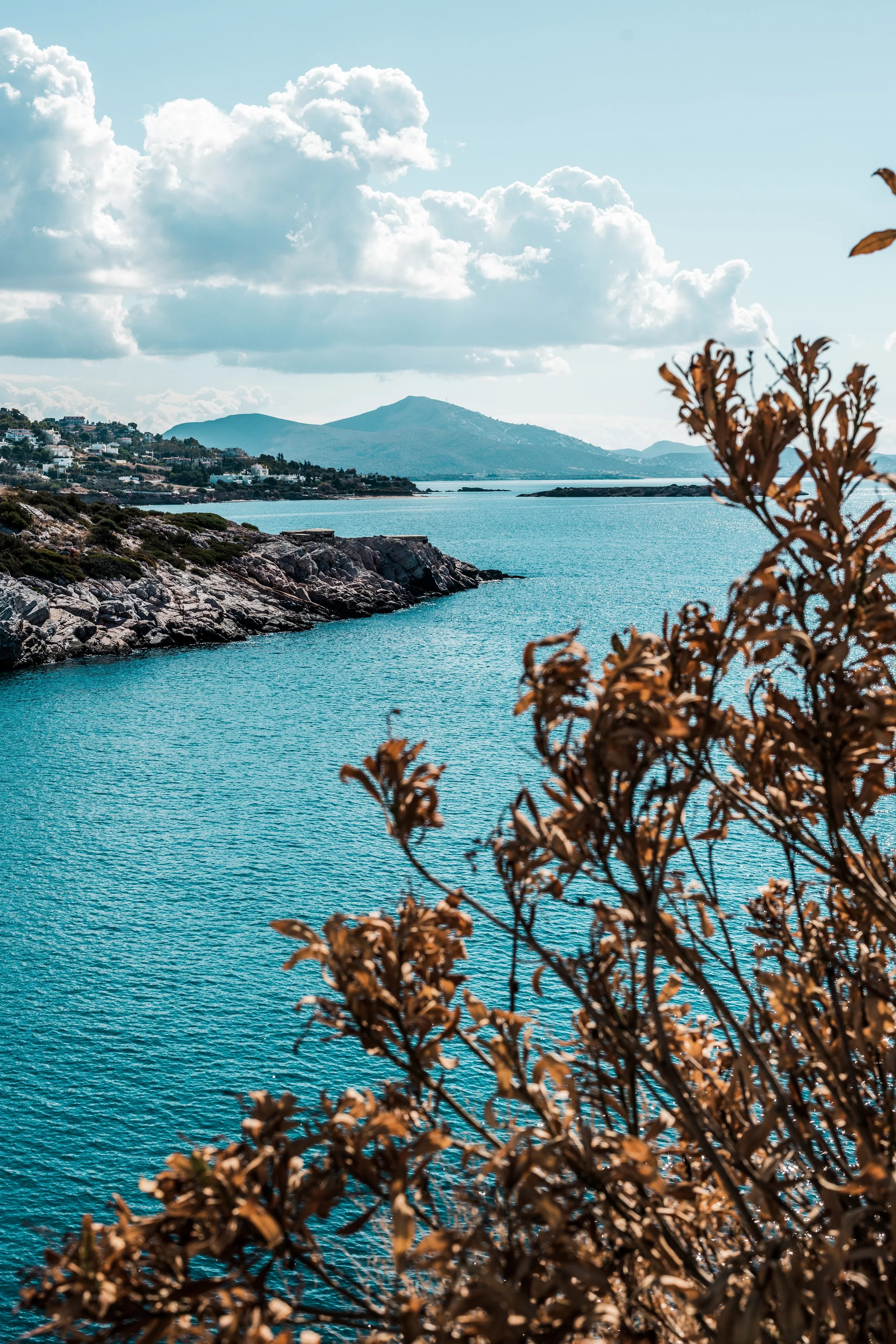 Website - LANDSCAPES-6.jpg