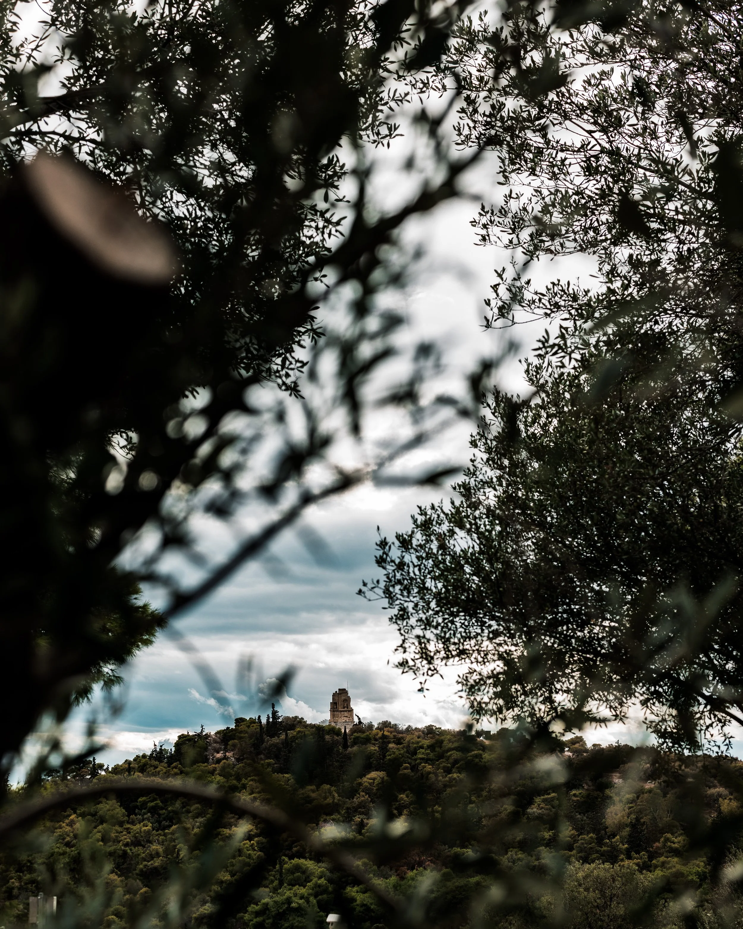 Website - LANDSCAPES-2.jpg