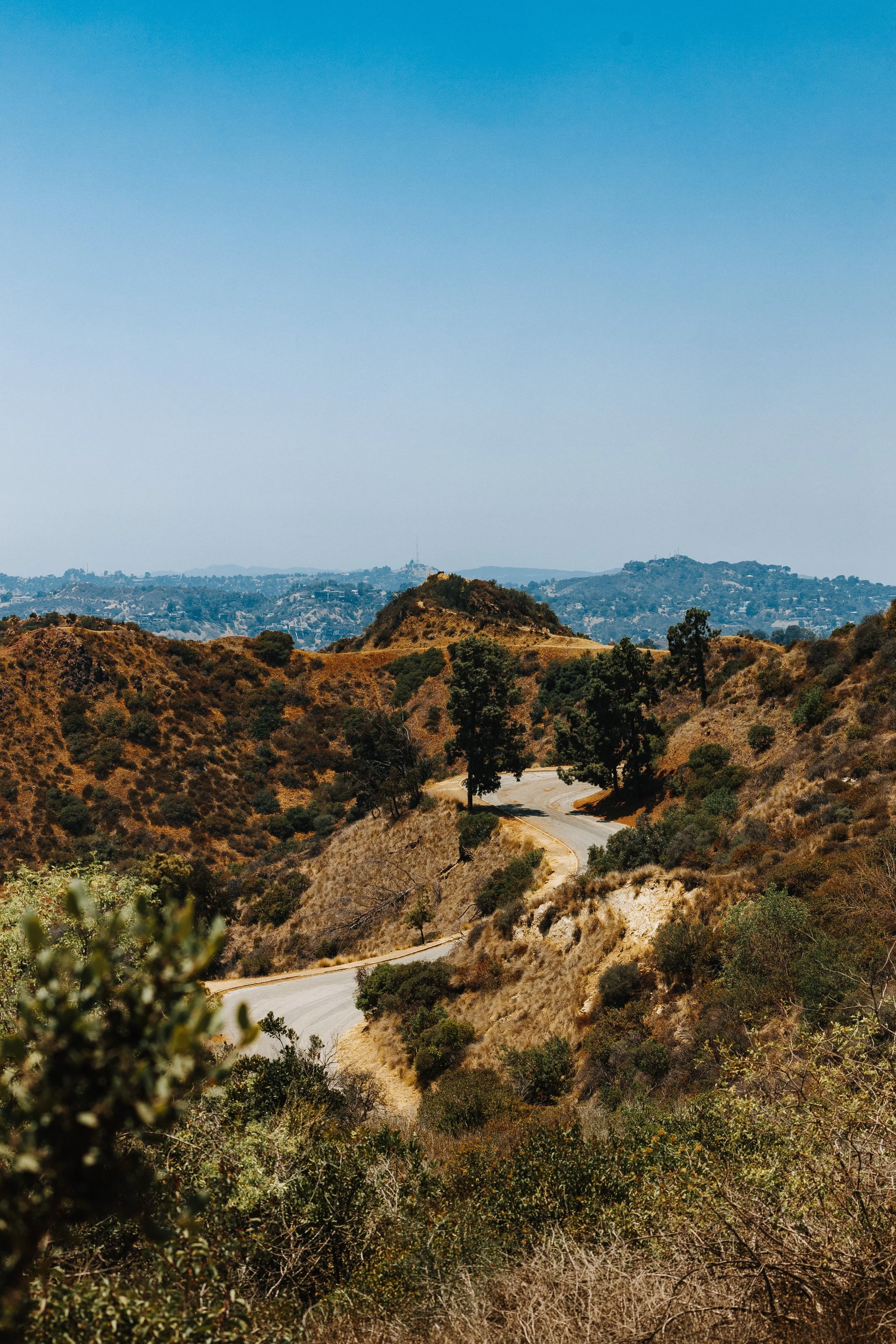 Website - LANDSCAPES-1-2.jpg