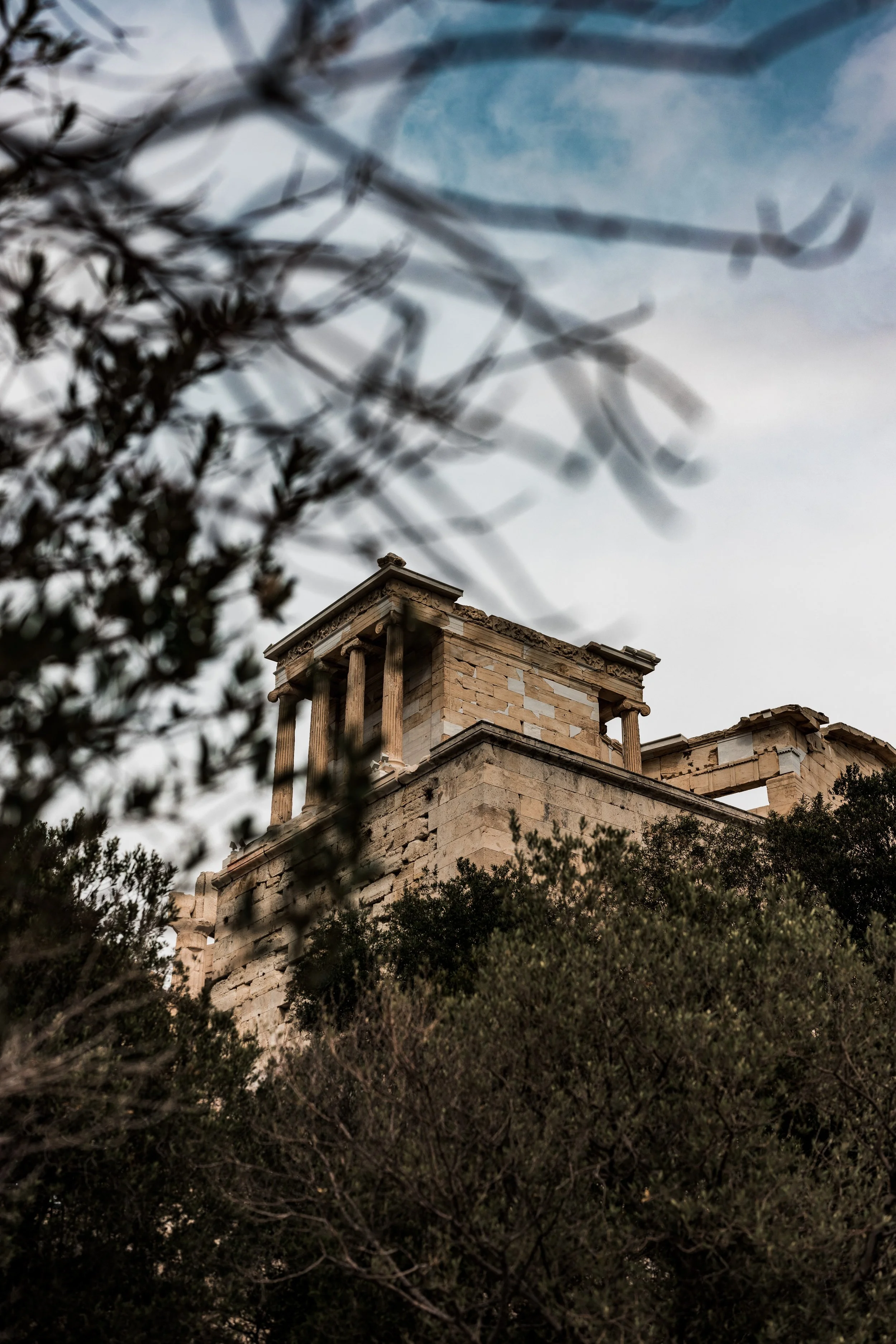 Website - LANDSCAPES-3.jpg