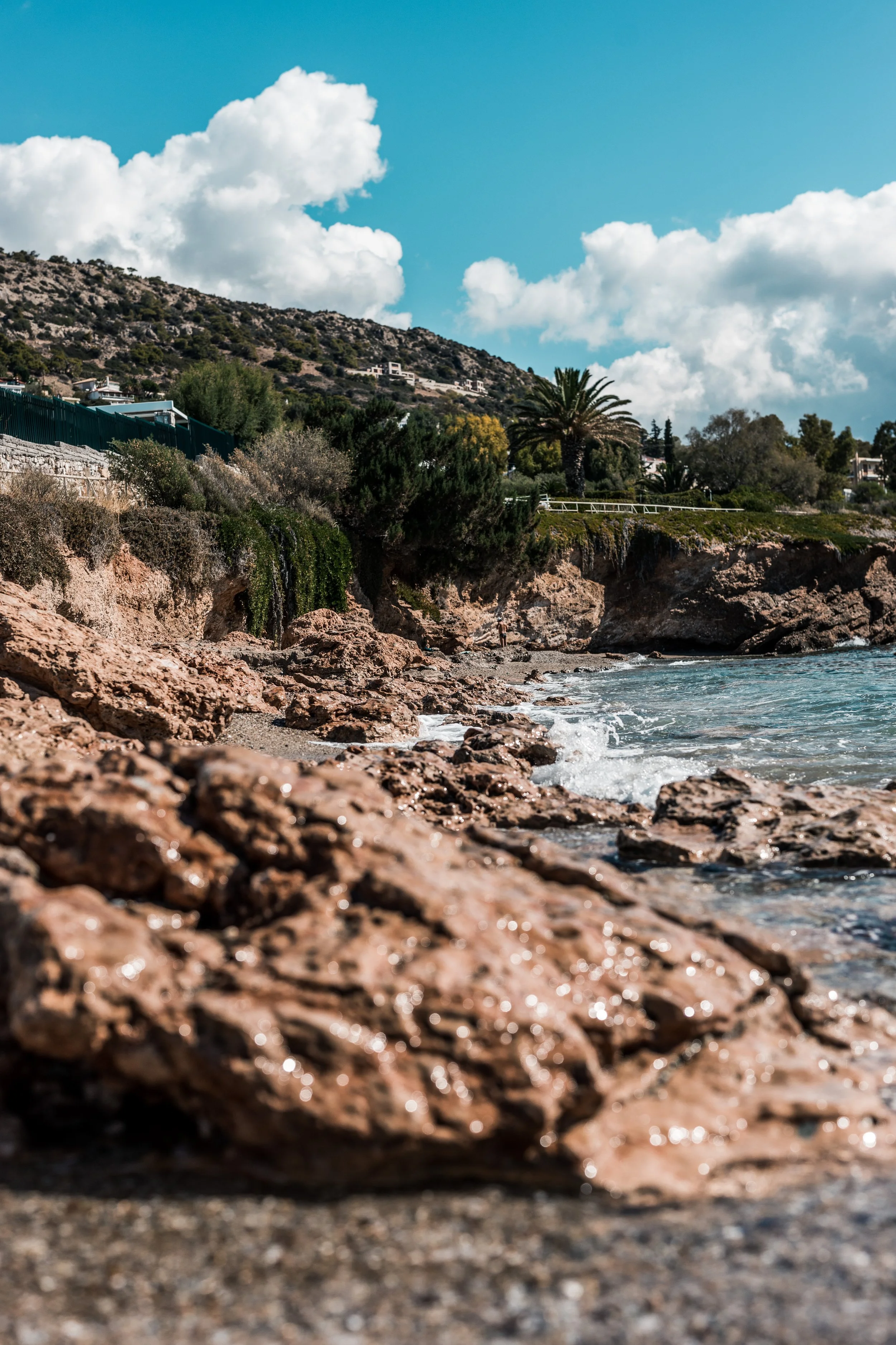 Website - LANDSCAPES-7.jpg