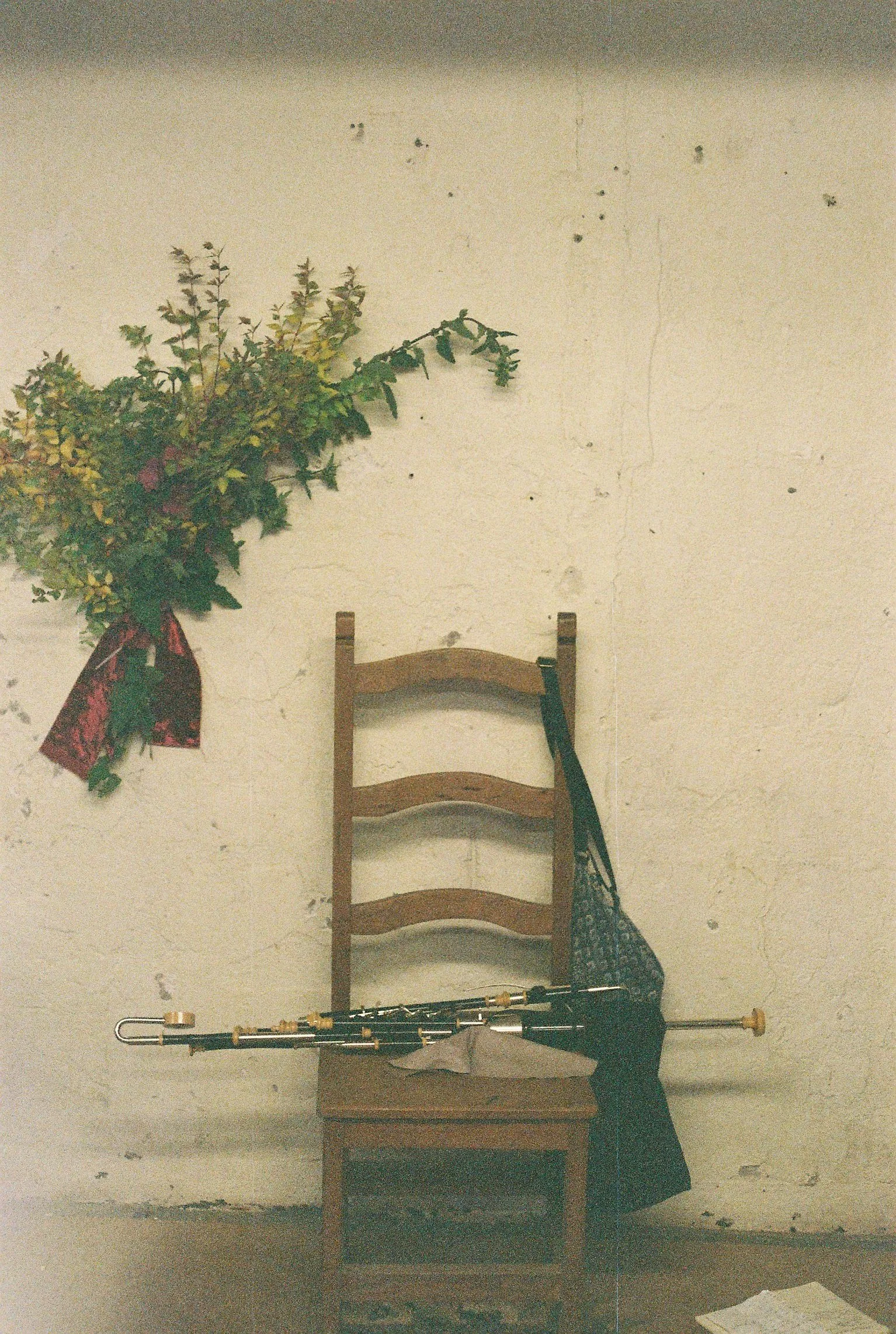 Stand Alone 1-1 Online Lesson - Uilleann Piping, Traditional Song or Tin-Whistle