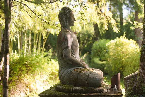 buddha-new.jpeg