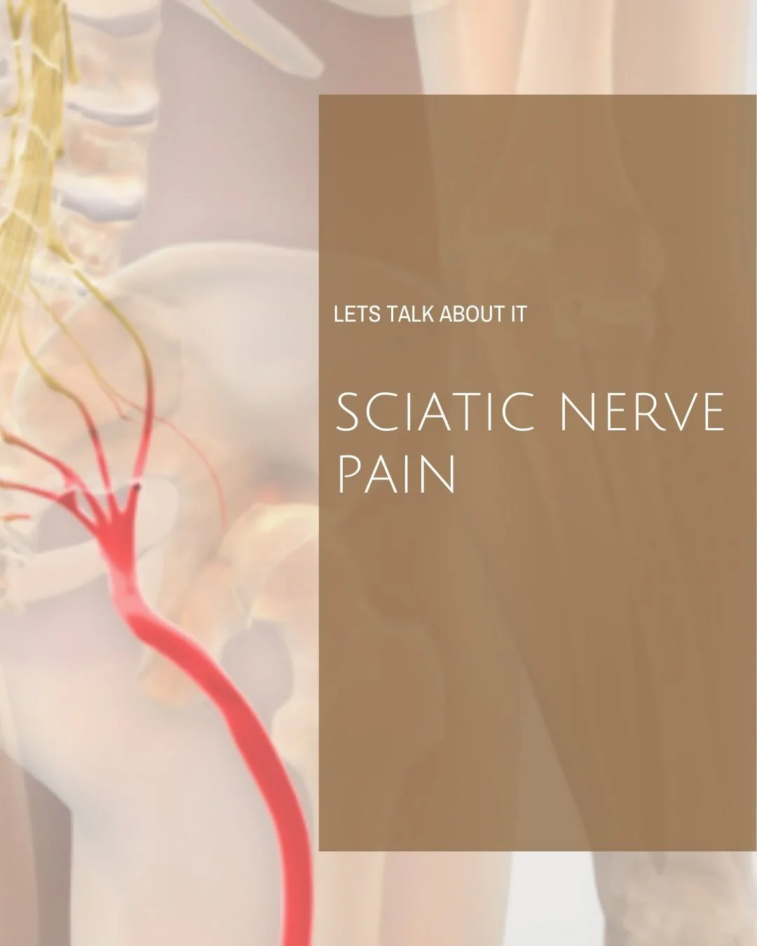 Let&rsquo;s Talk About Sciatic Nerve Pain! 💥

Sciatic nerve pain isn&rsquo;t &ldquo;just back pain.&rdquo; It can radiate, tingle, burn, or numb down one side of the body.

Managing sciatic nerve pain = gentle movement, stretching, proper posture, a