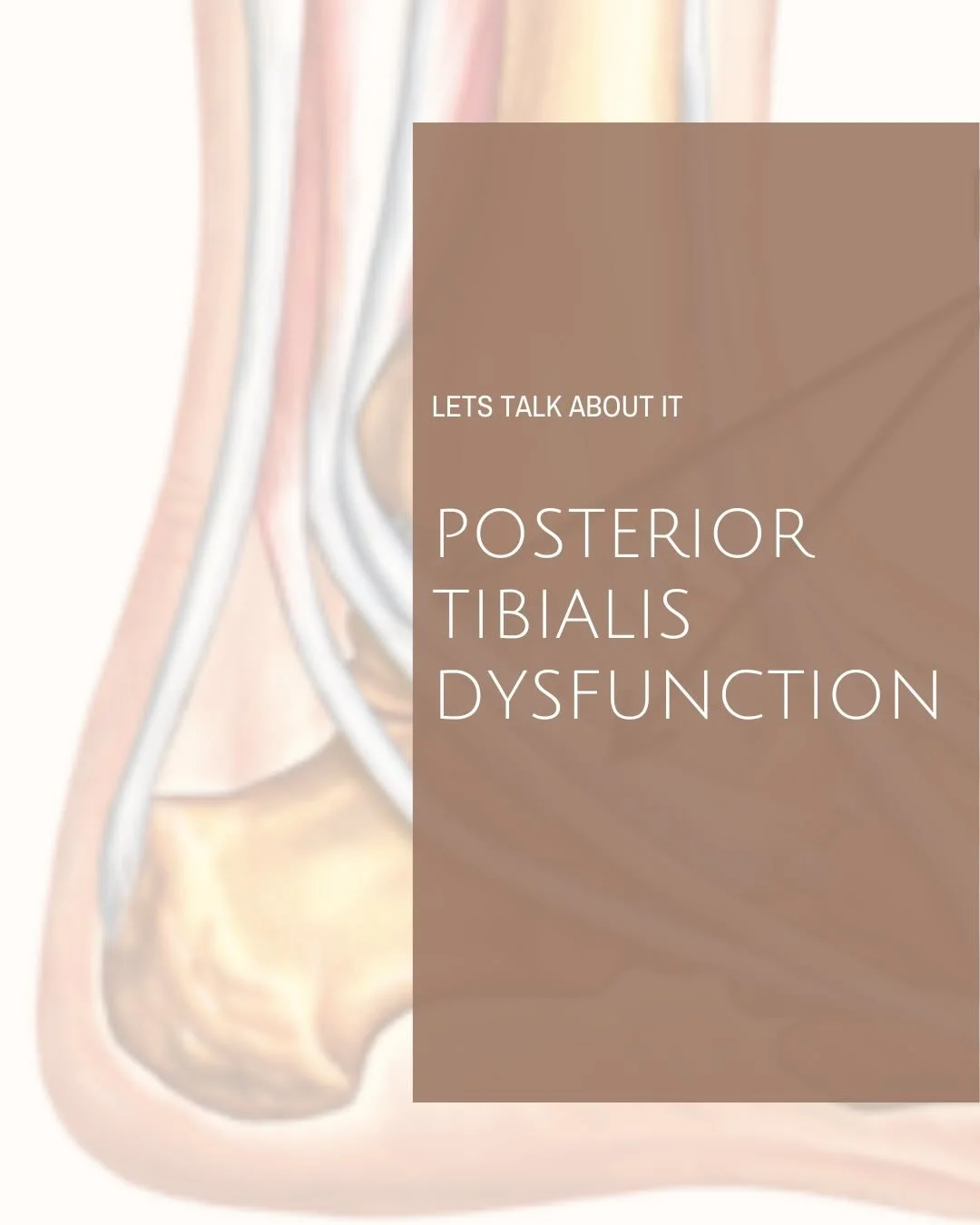 Let&rsquo;s talk about: Posterior Tibialis Dysfunction ✨