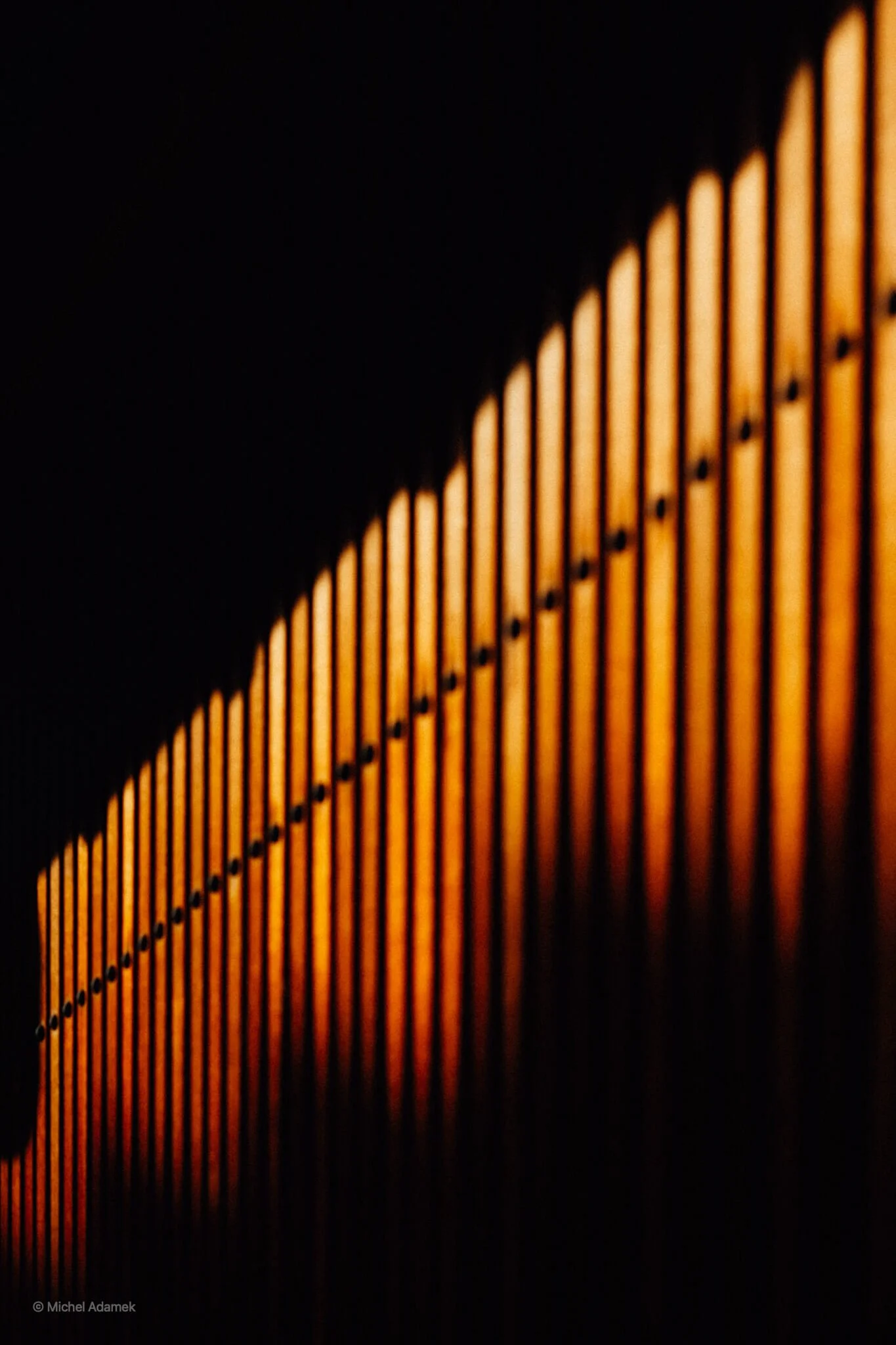DSCF7645.jpg