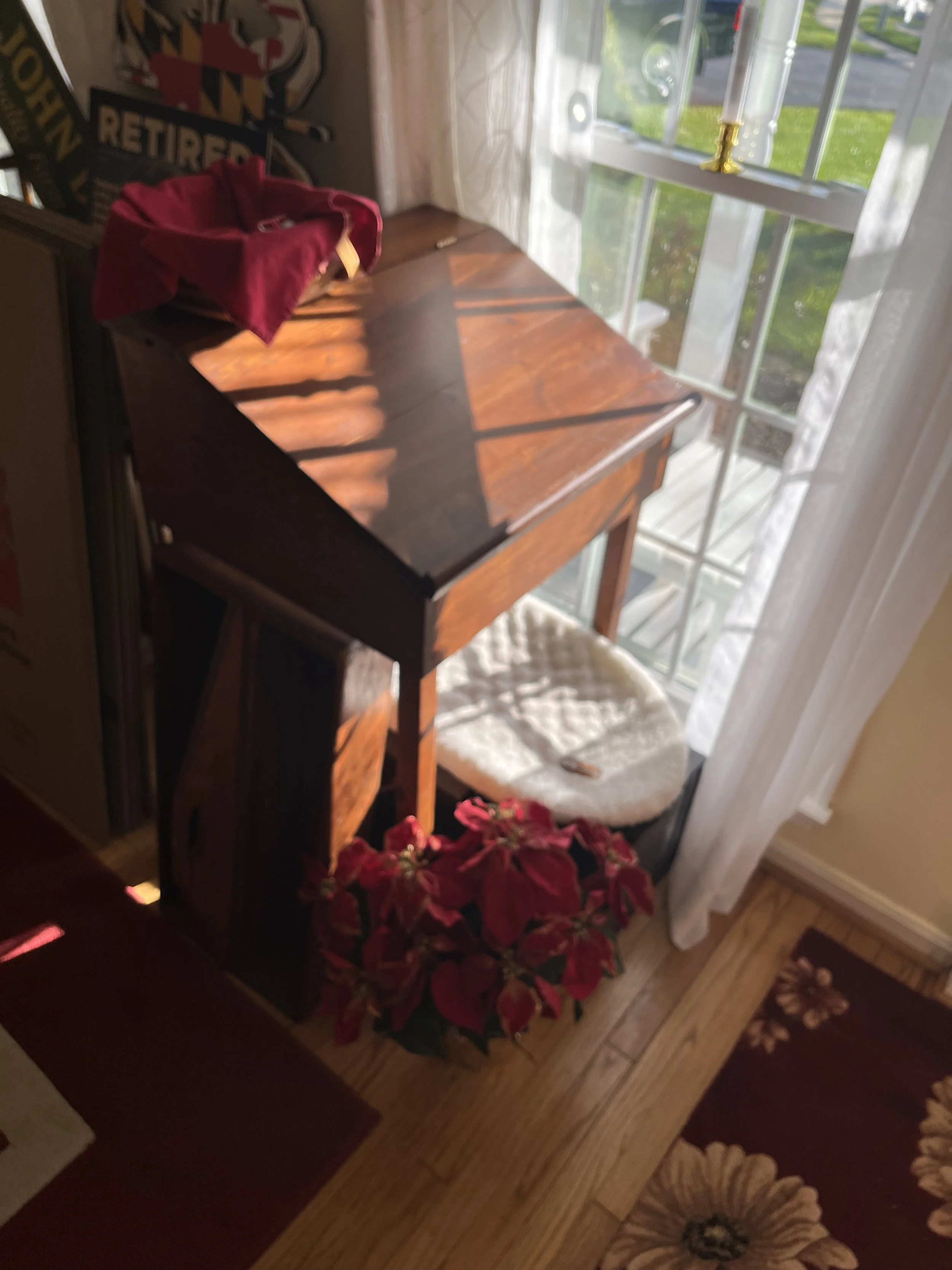 IMG_4263.jpeg