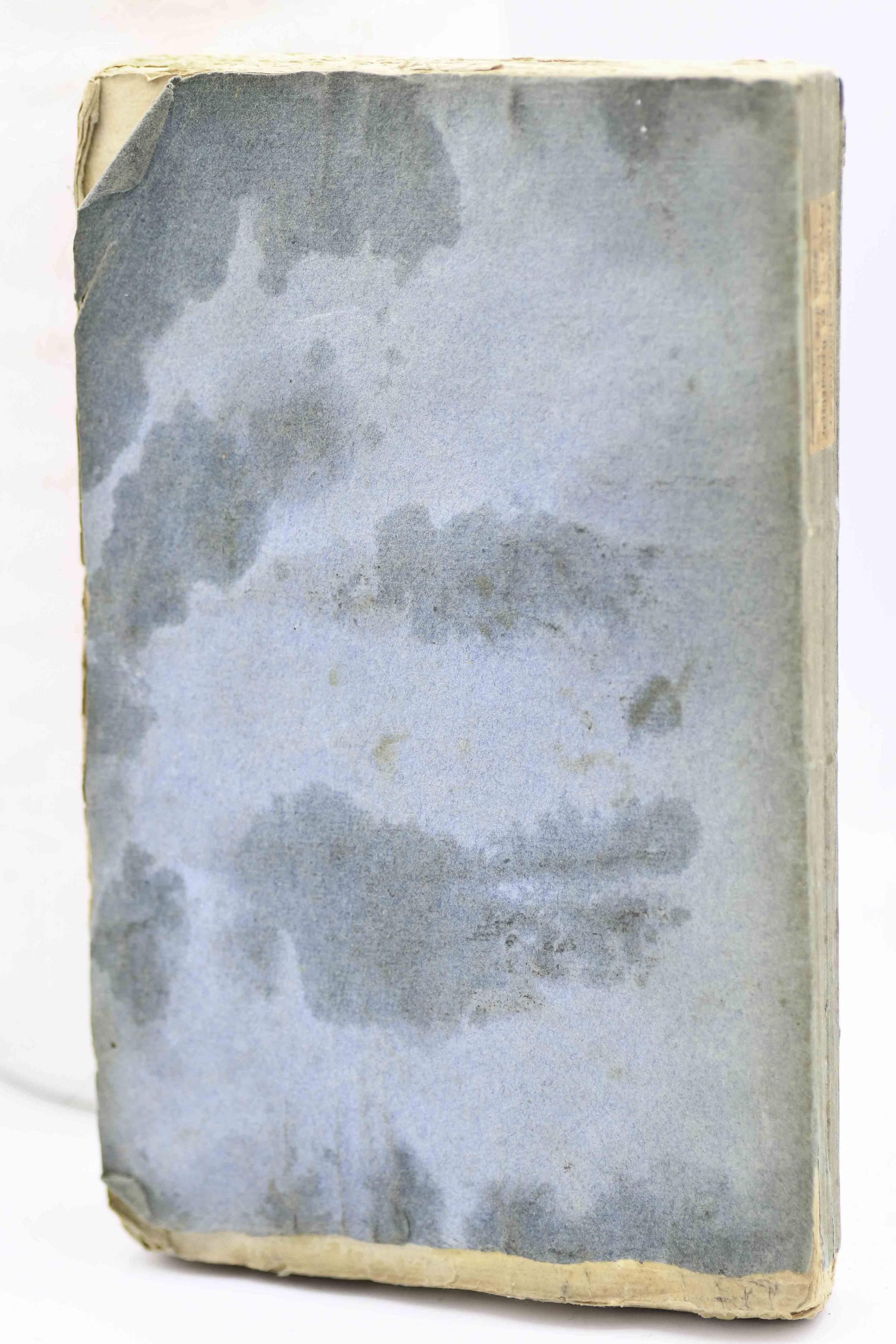 Back Cover.jpg