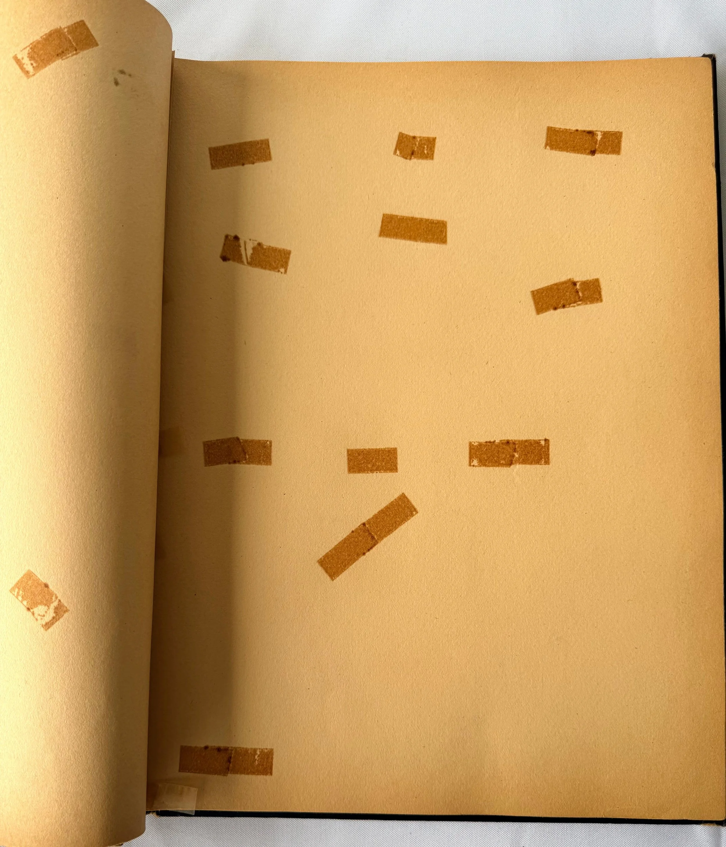 6a693cd2e96dfd34311d4b57.png