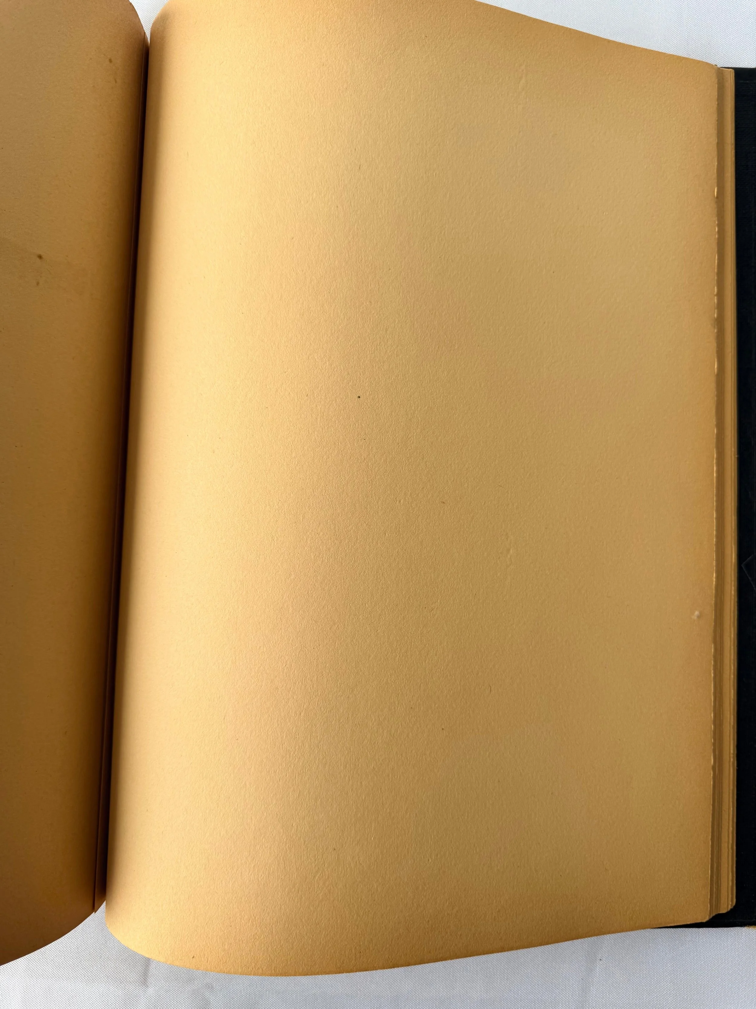 6a693cd7e96dfd34311d4c87.png