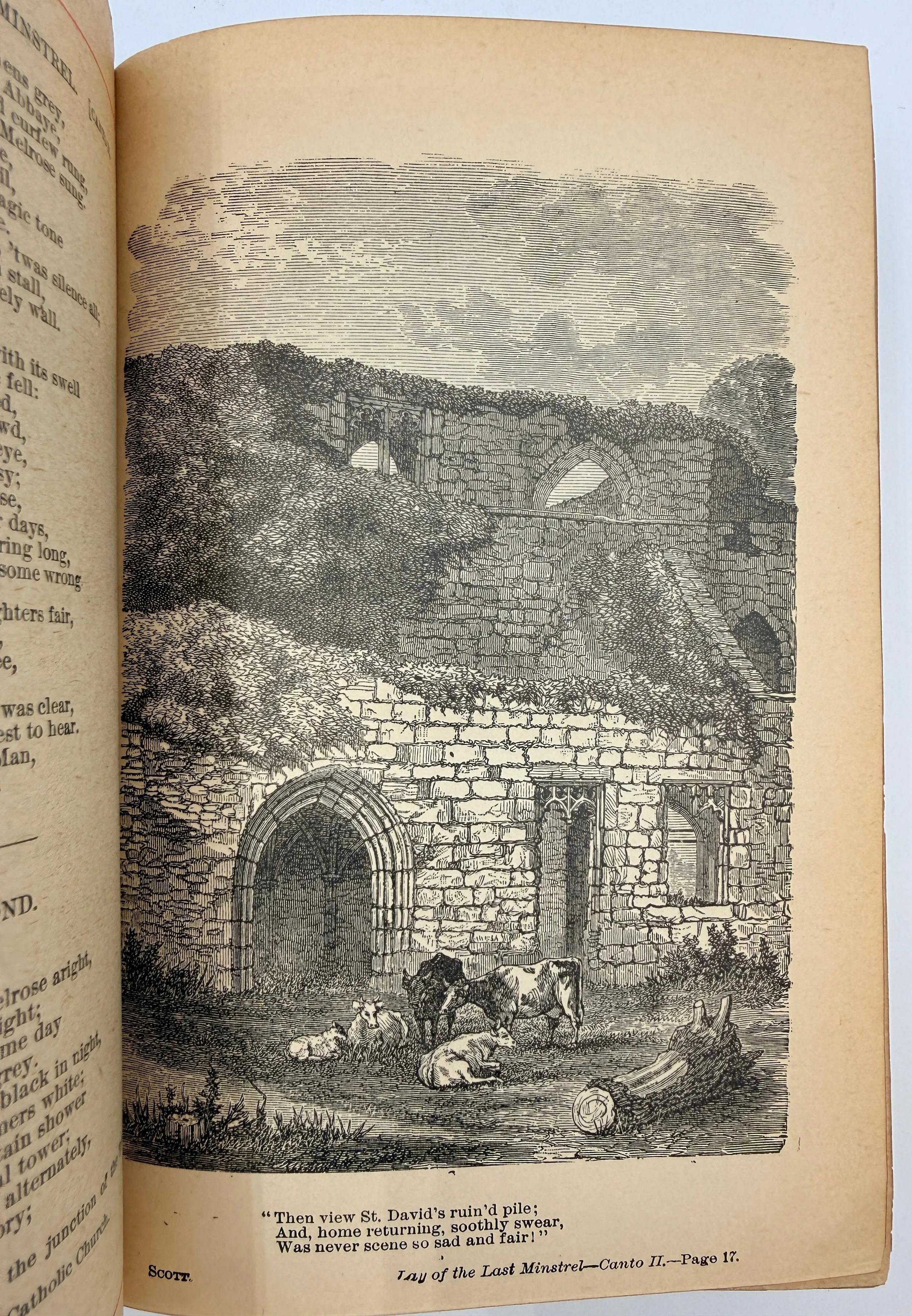 6aa017c91975f3da2998f5e9.png