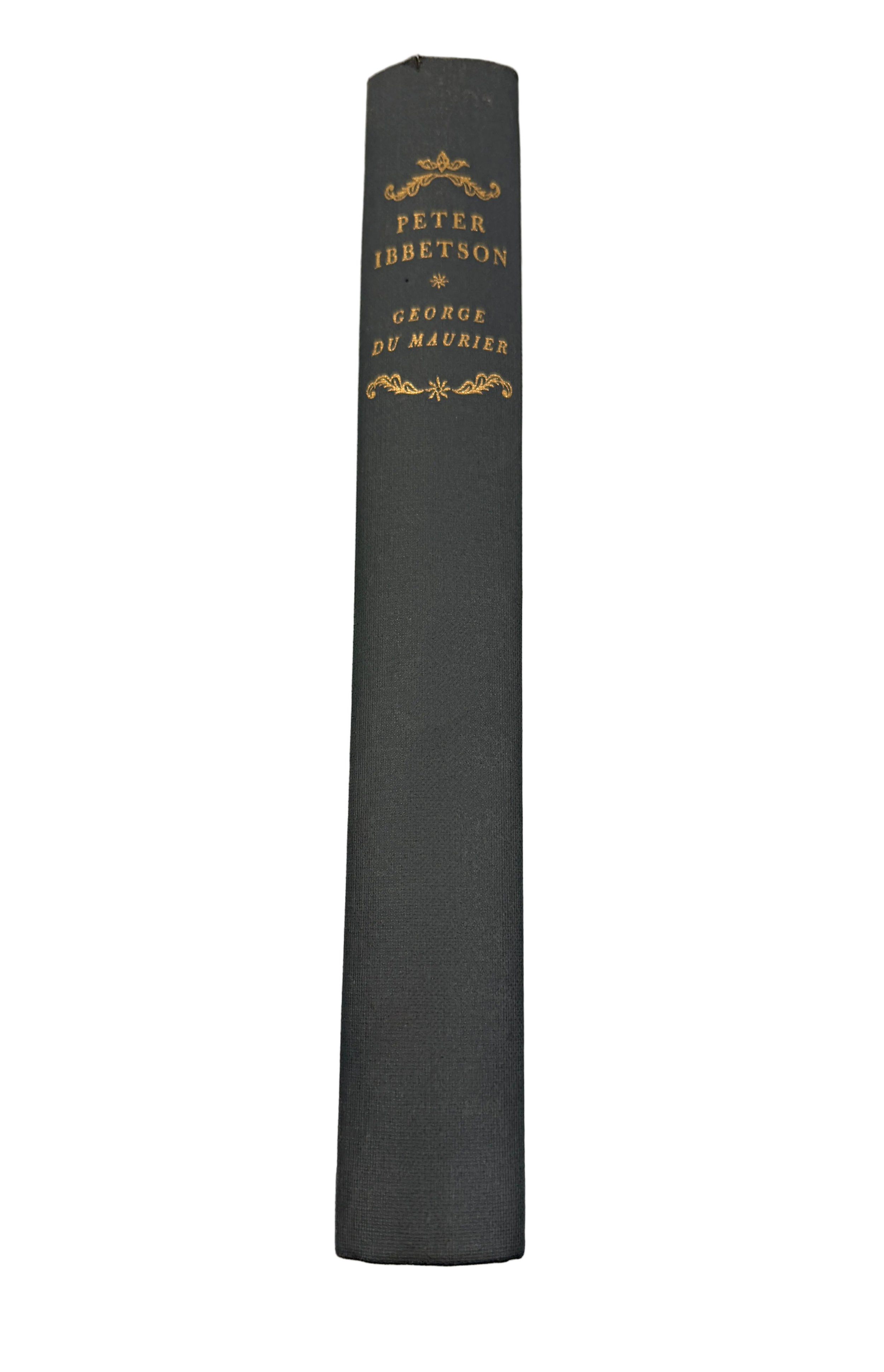 6aba9d02f13c0556e49e4893.png