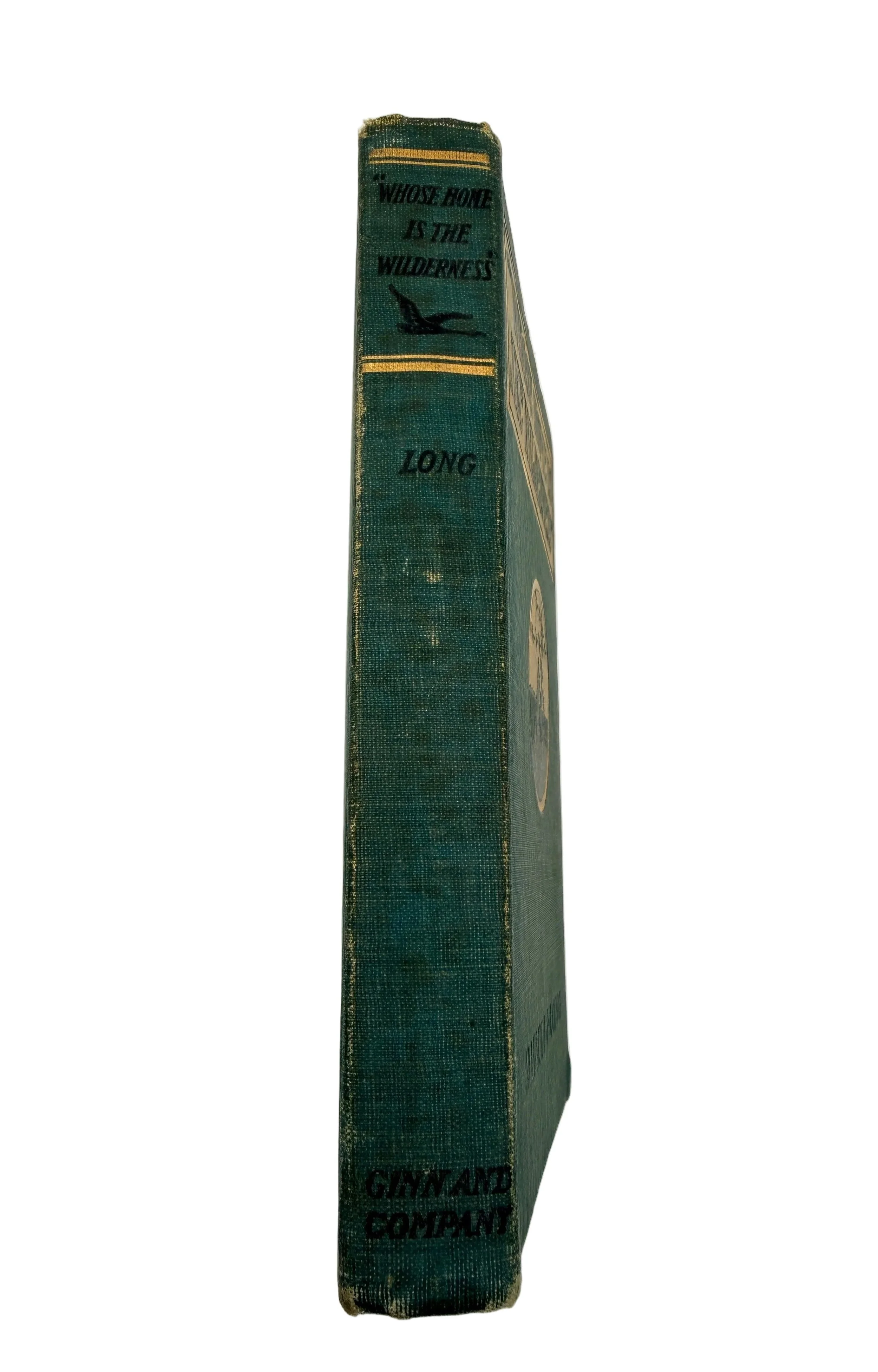 6abb1ebcf13c0556e4a9869a.png