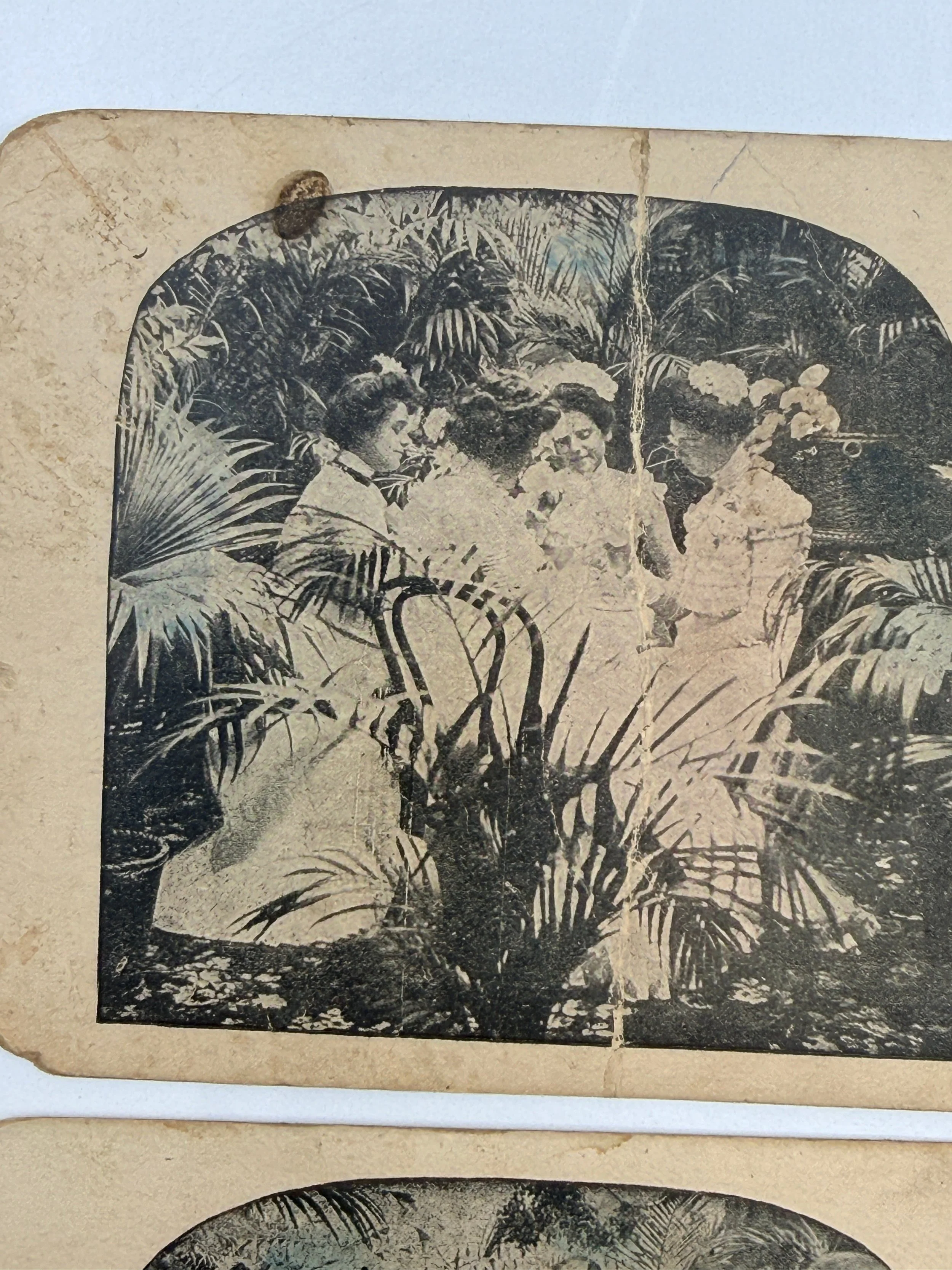6abbc00e45442c1f25192ab6.png