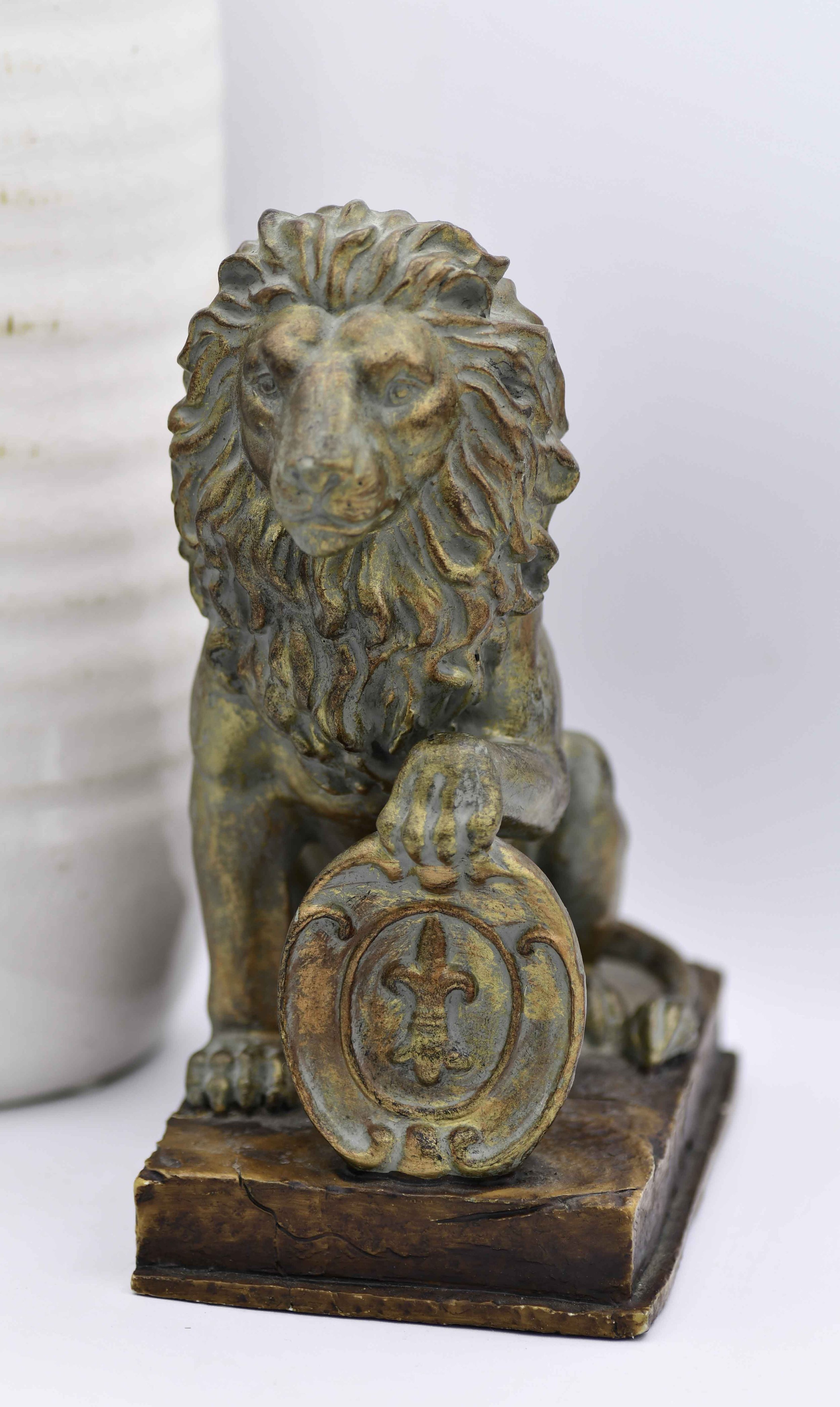 Website Cover Image.jpg