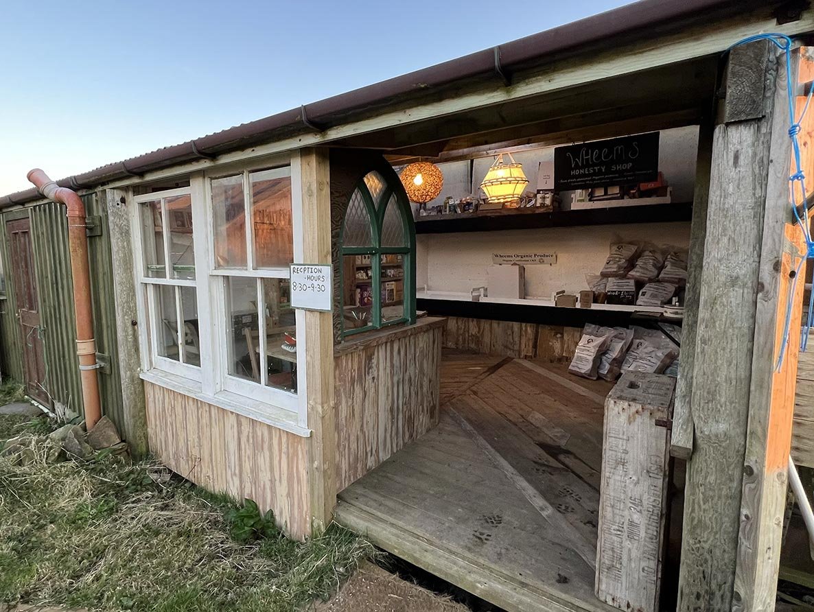 shop-&-reception.jpg