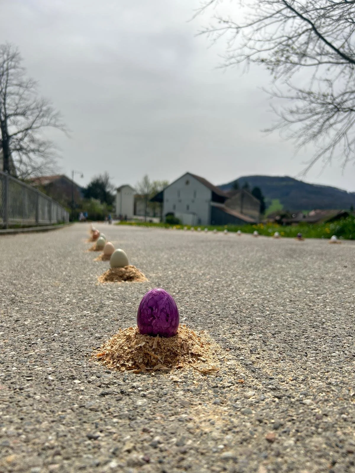 WhatsApp Image 2025-03-19 at 13.12.04.jpeg