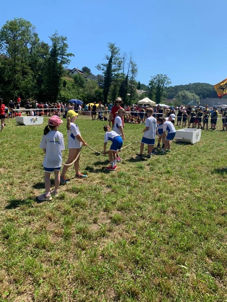 4ab05773-39d4-4991-8c81-cc954d17262c.jfif