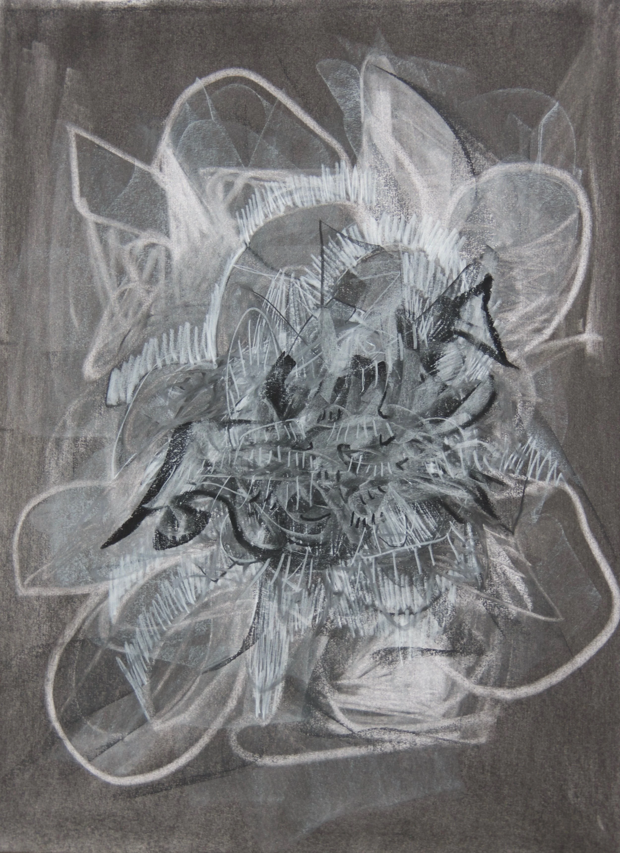 Beast, chalk and charcoal on paper, 18" x 24"