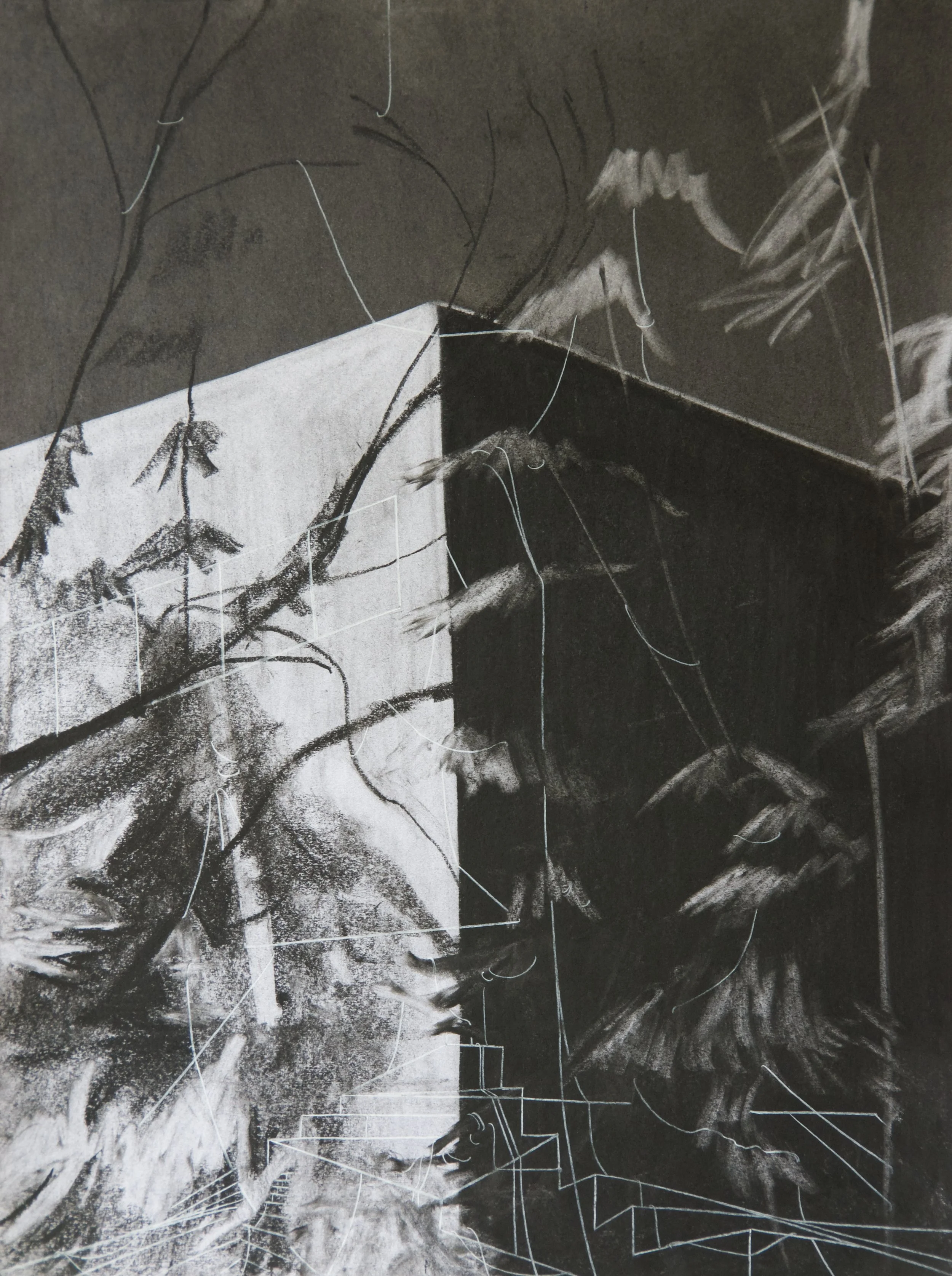 Equinox, chalk and charcoal on paper, 18" x 24"