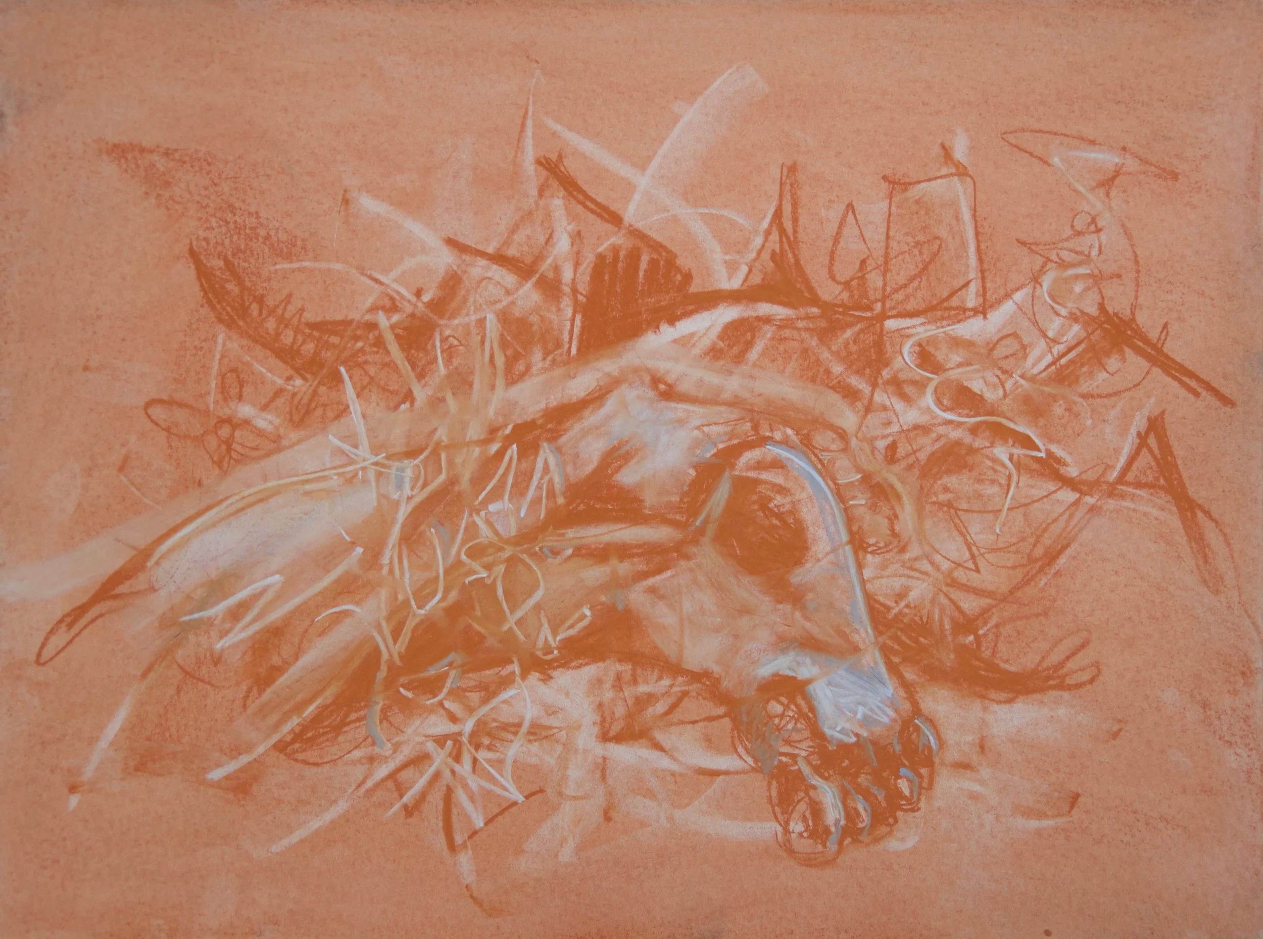 Body Language, chalk and charcoal on paper, 24" x 18"