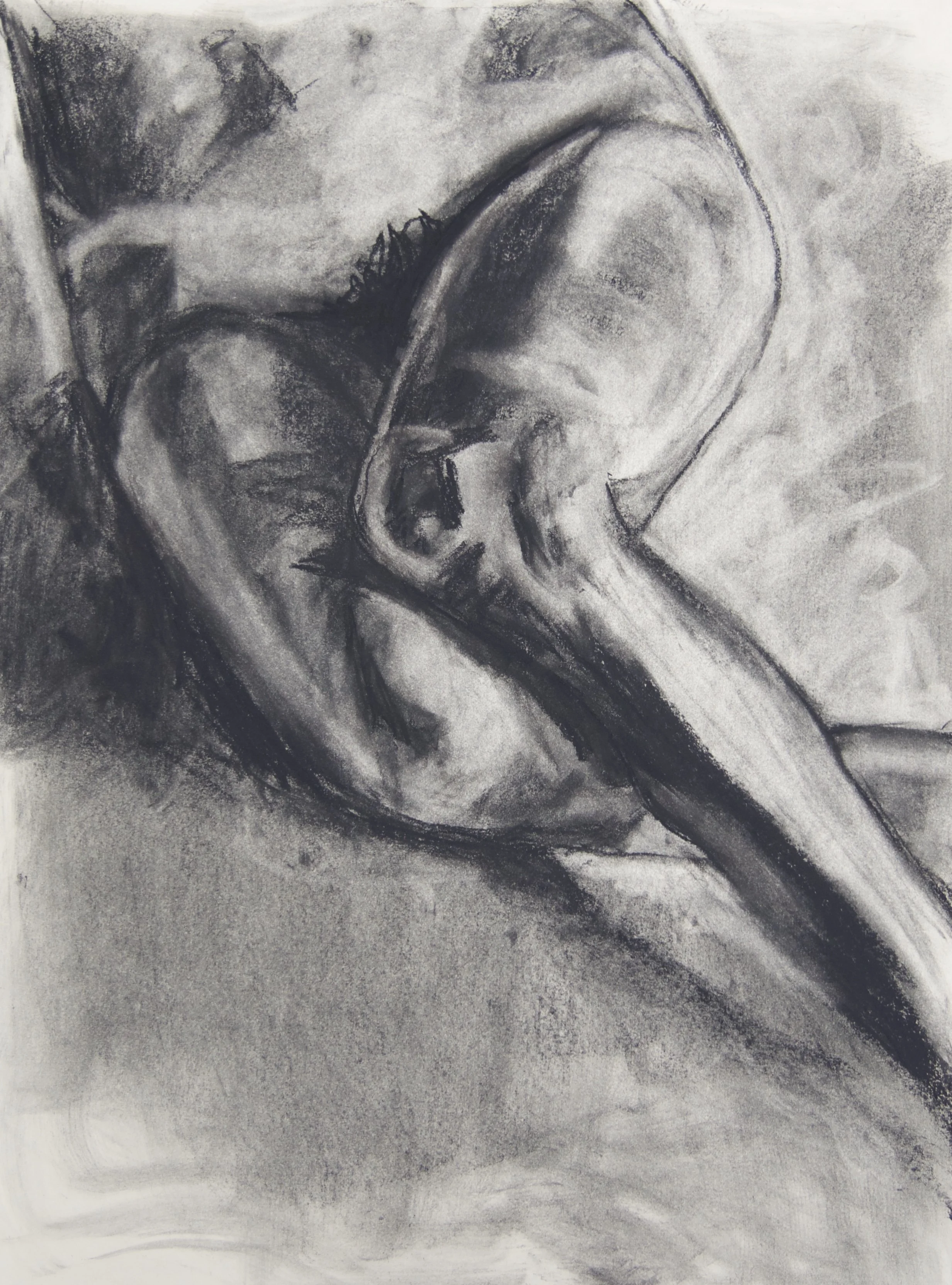 Brace, chalk and charcoal on paper, 18" x 24"