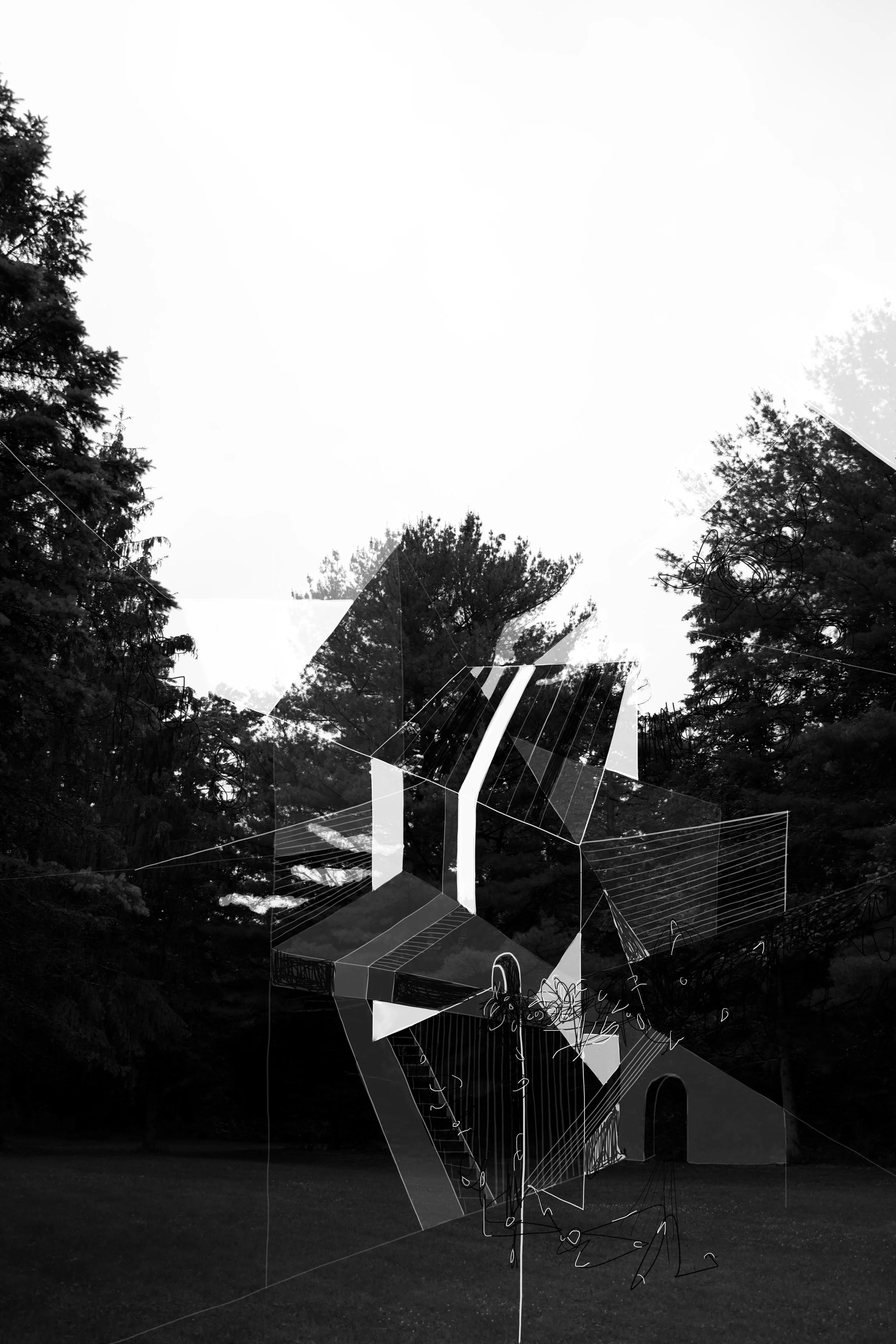 Family Ties 1, digital collage