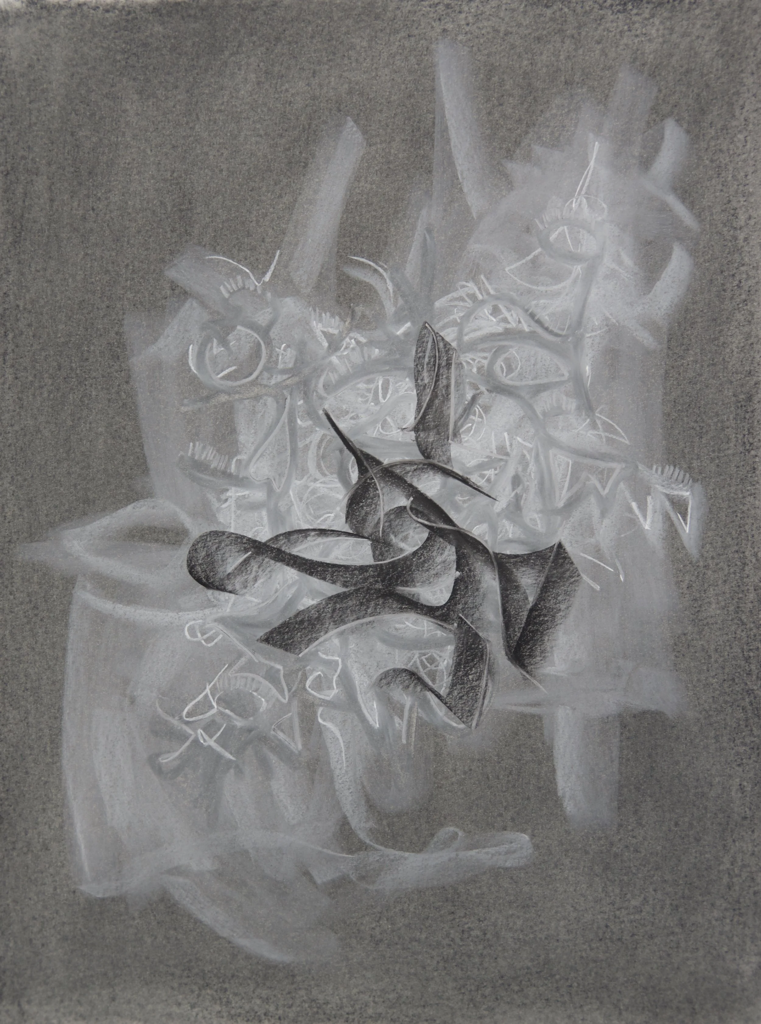 Passenger, chalk and charcoal on paper, 18" x 24"
