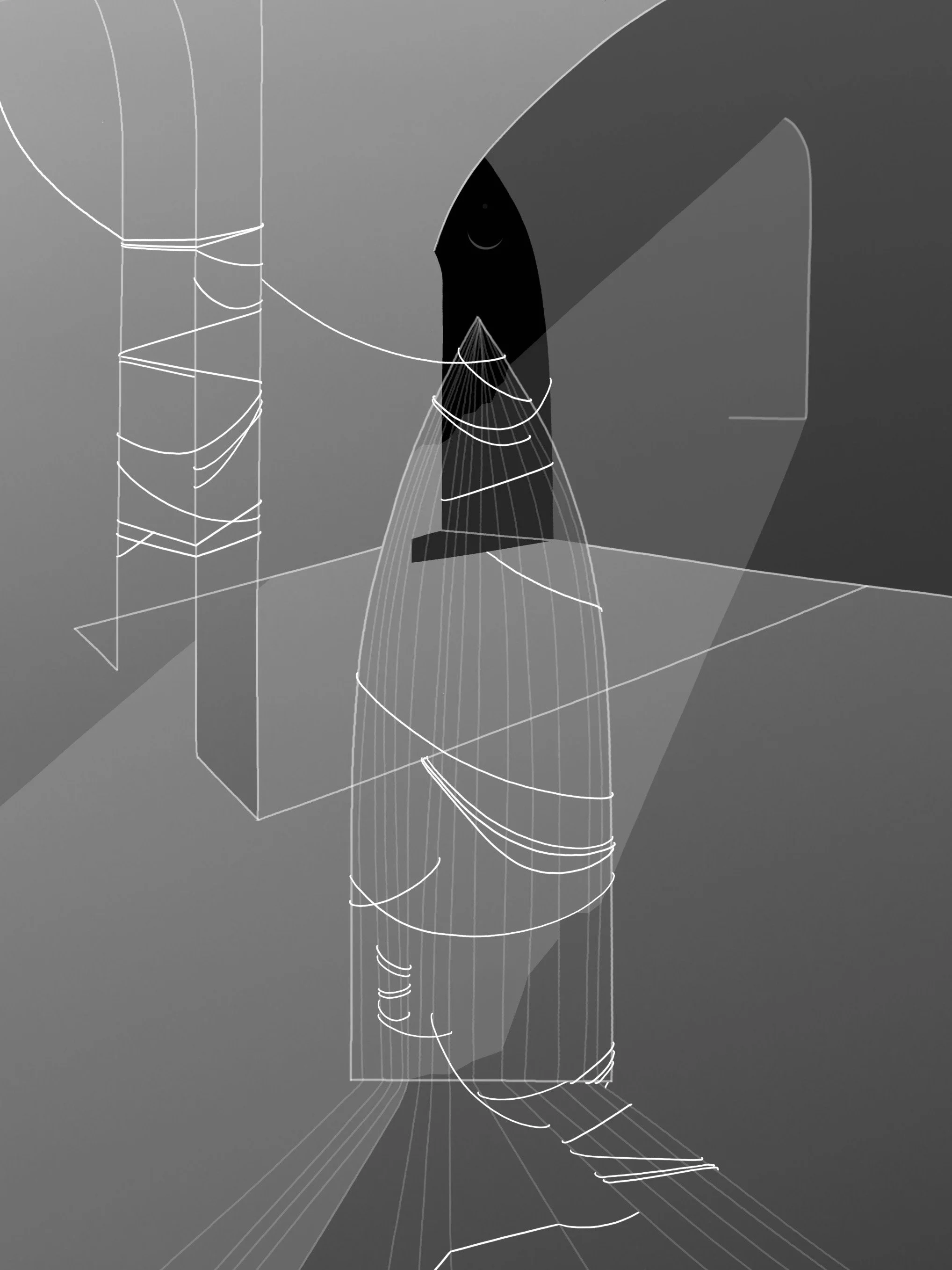 Shields, digital drawing