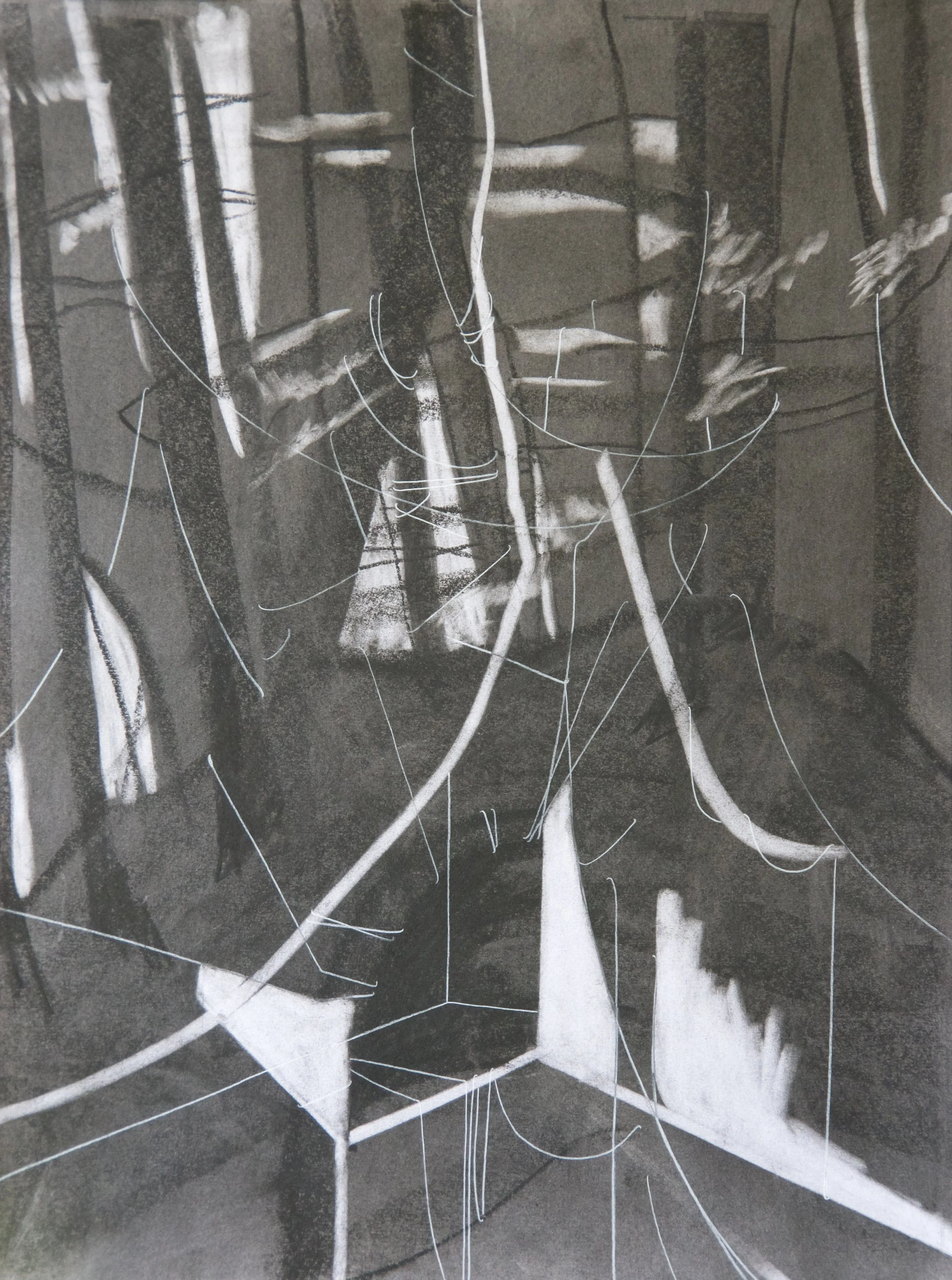 We Took Other Ways, chalk and charcoal on paper, 18" x 24"