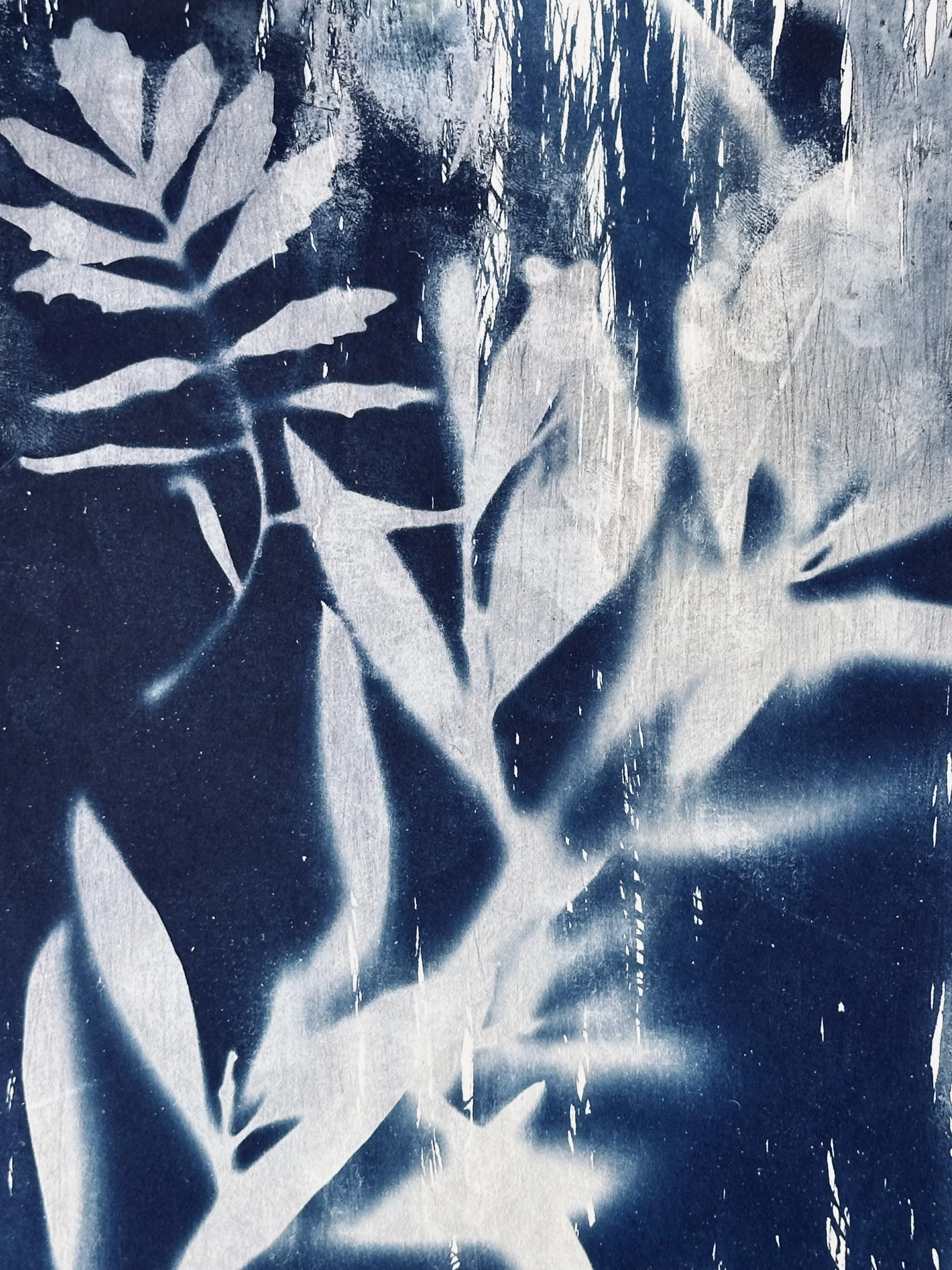 Cyanotype art print in proces met gedroogde geroosterde tarwe halmen.