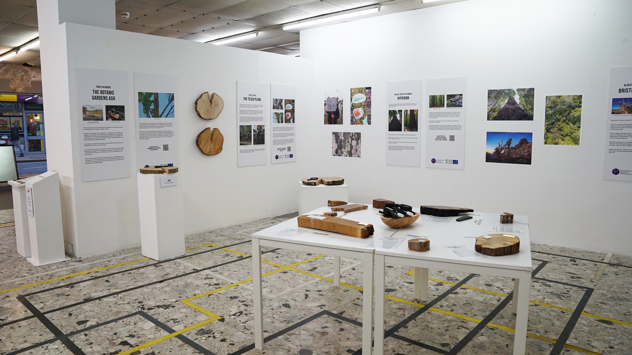 Trees are Wonderful Things exhibition design