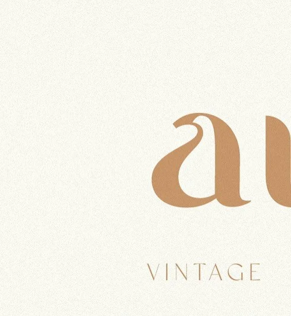 Had fun today working on this 70s inspired branding 🌼