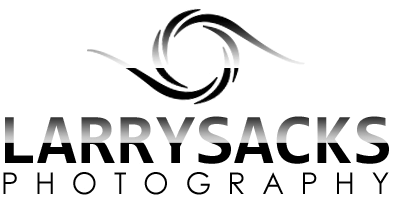 Larry Sacks Photography.png