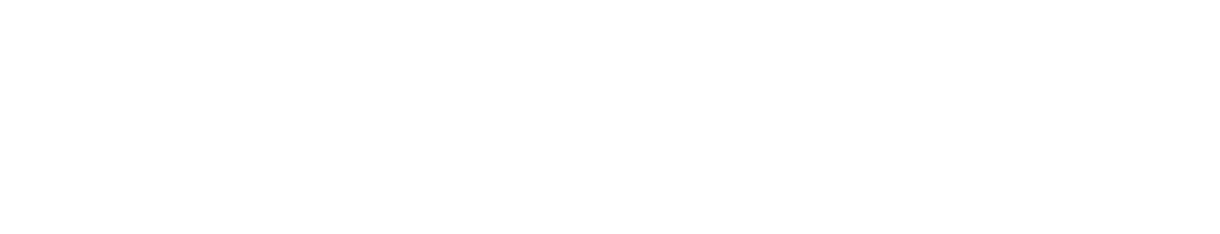 Logo_White.png
